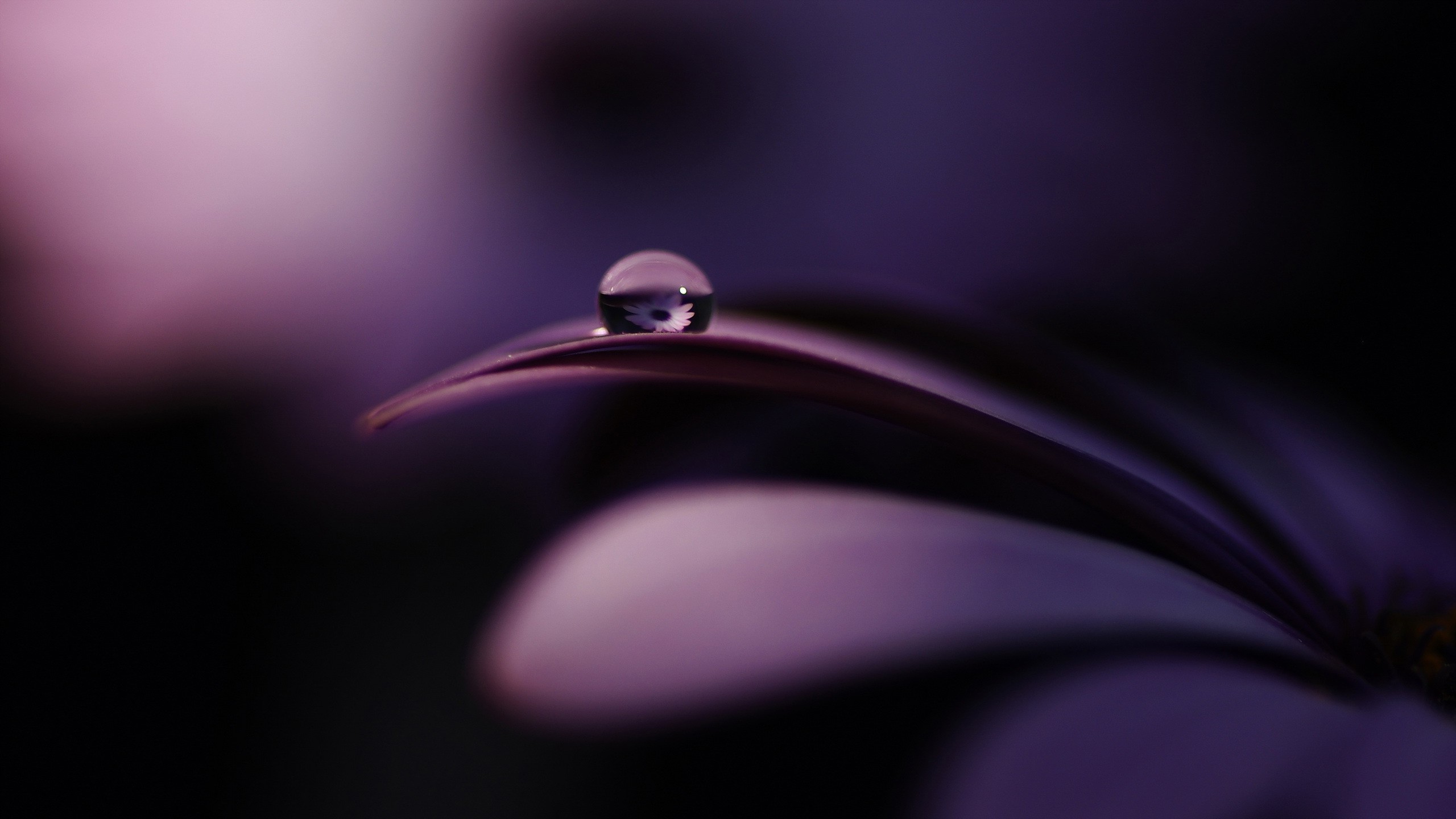 Water Drop Reflection Wallpapers