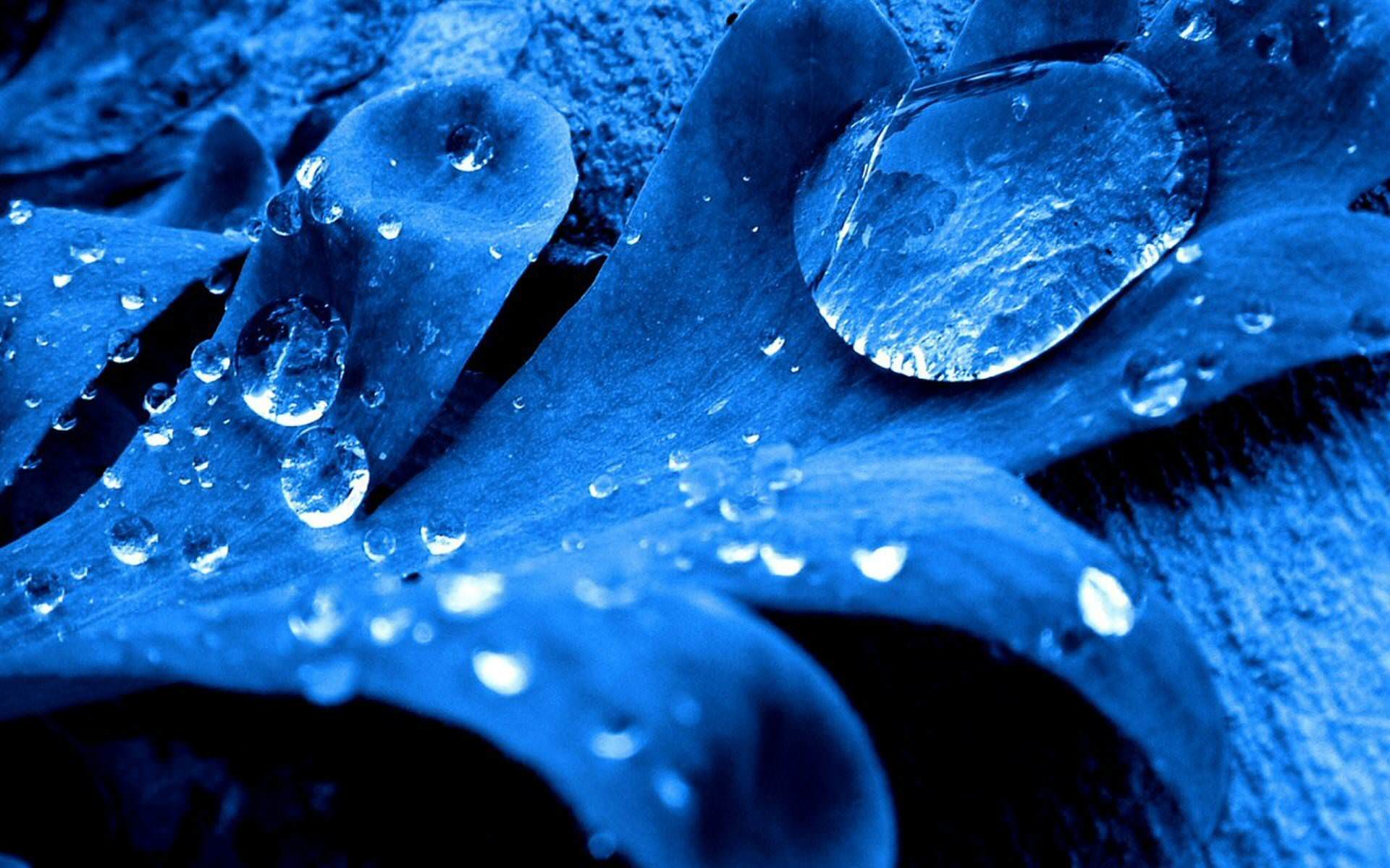 Water Drop Reflection Wallpapers