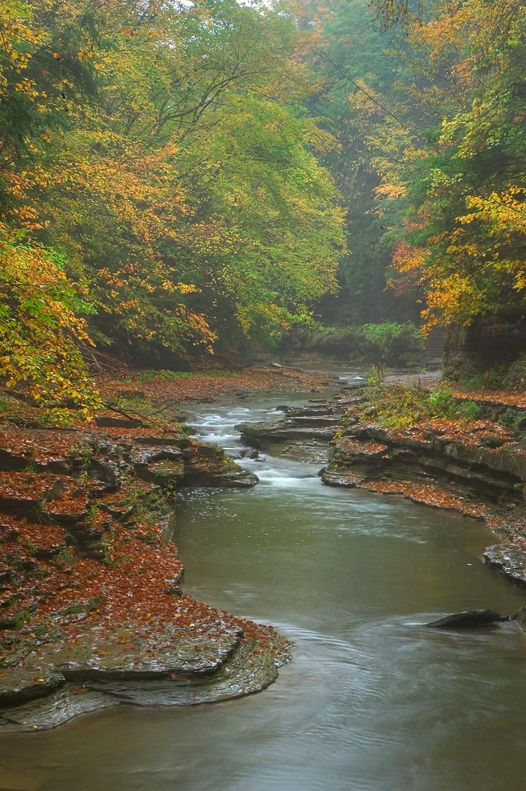 Watkin Glens State Park Wallpapers