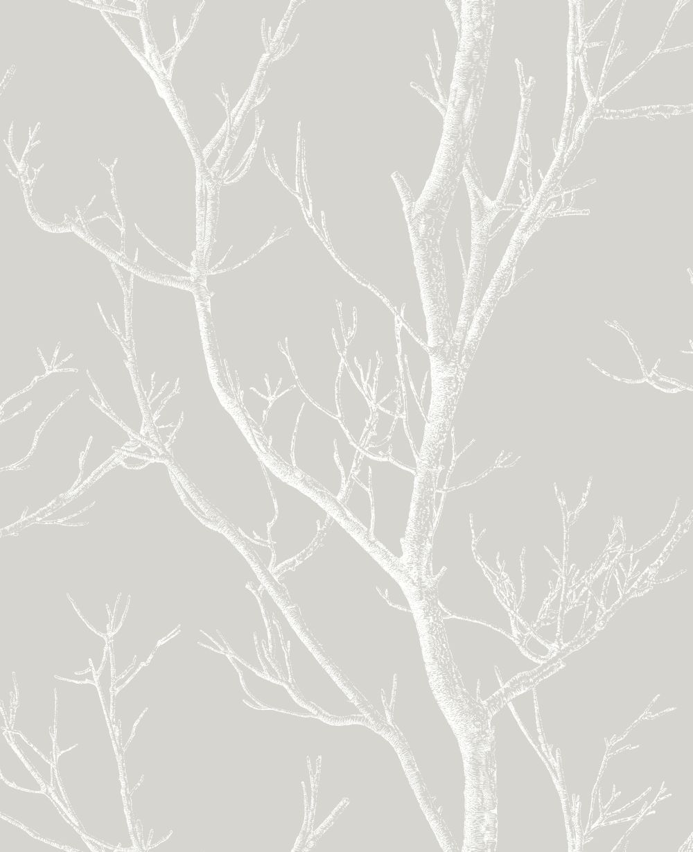 White Tree Wallpapers