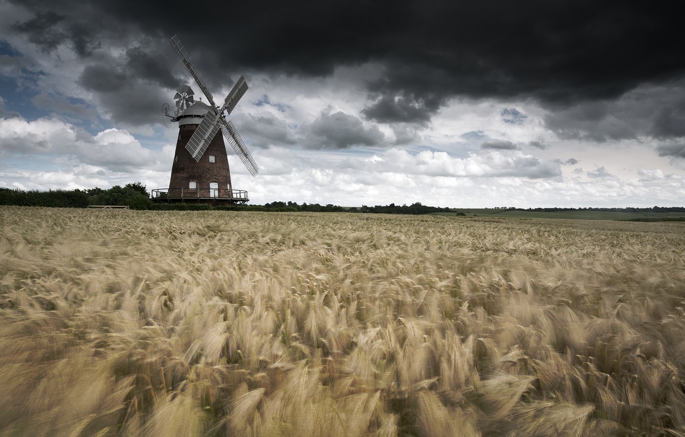 Windmill On Wheat Field At Sunset Wallpapers