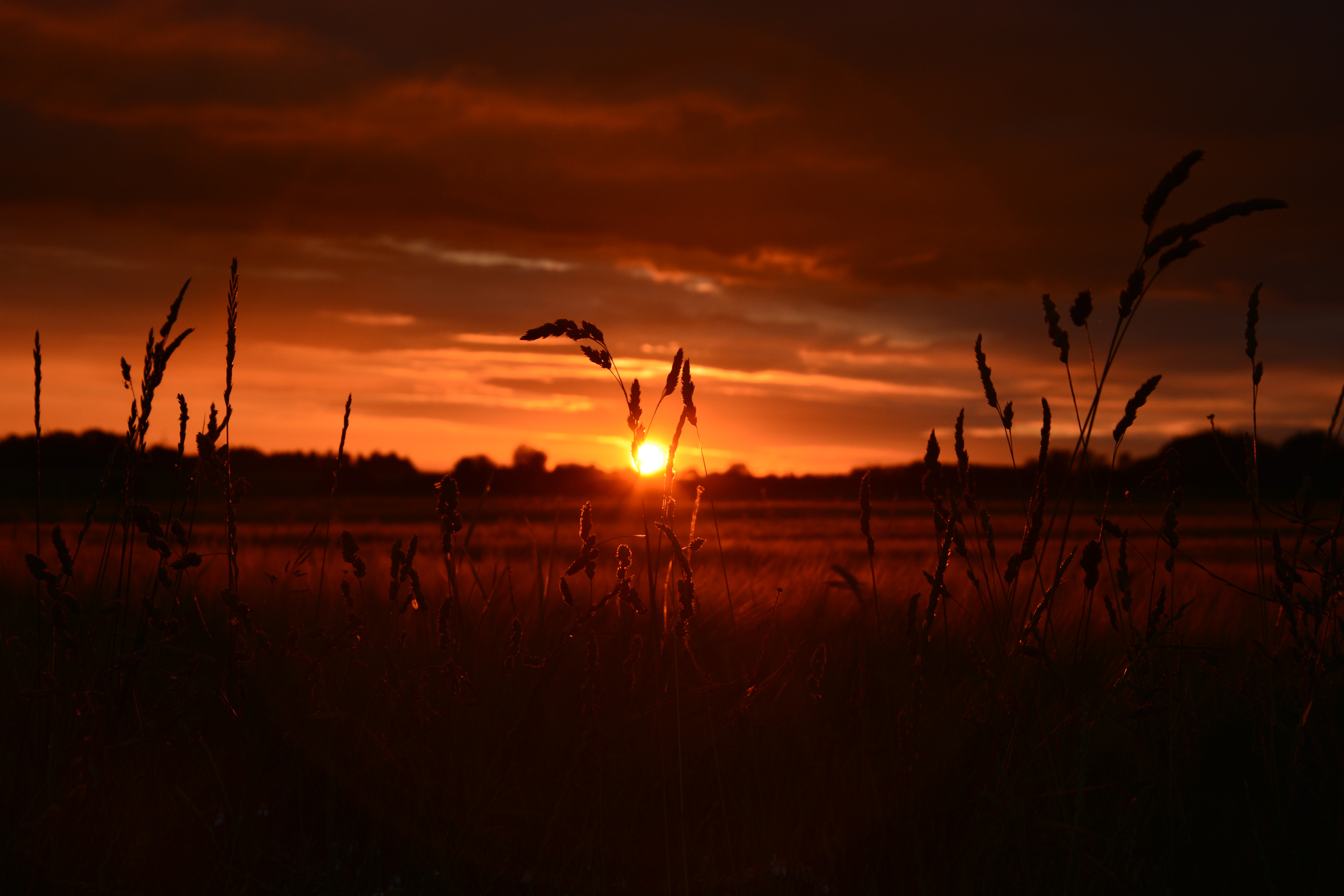 Windmill On Wheat Field At Sunset Wallpapers