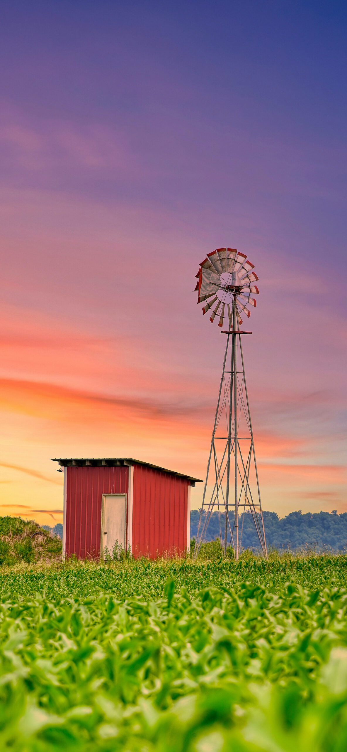 Windmill On Wheat Field At Sunset Wallpapers