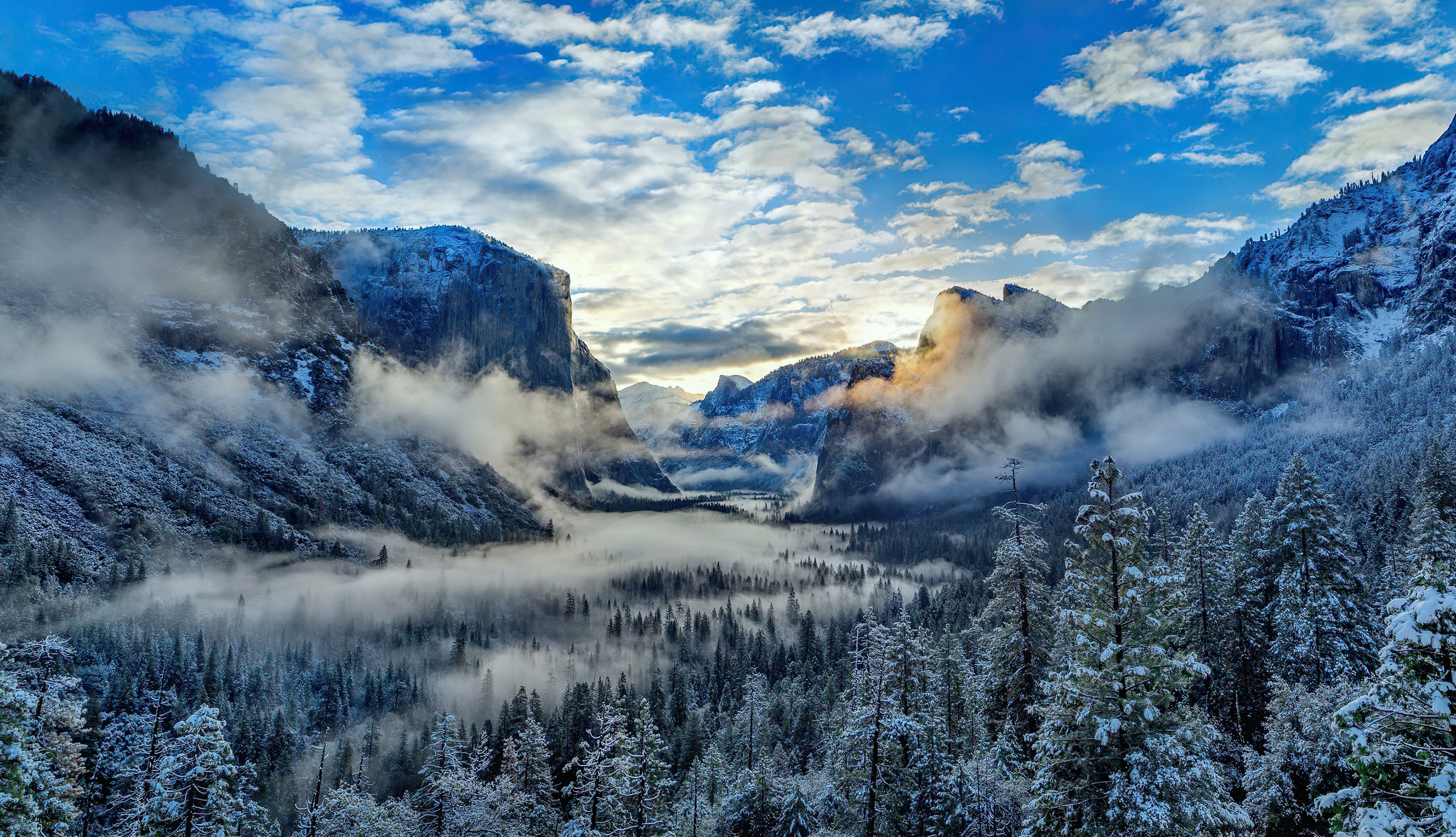 Winter Cloudy Forest Mountains Wallpapers