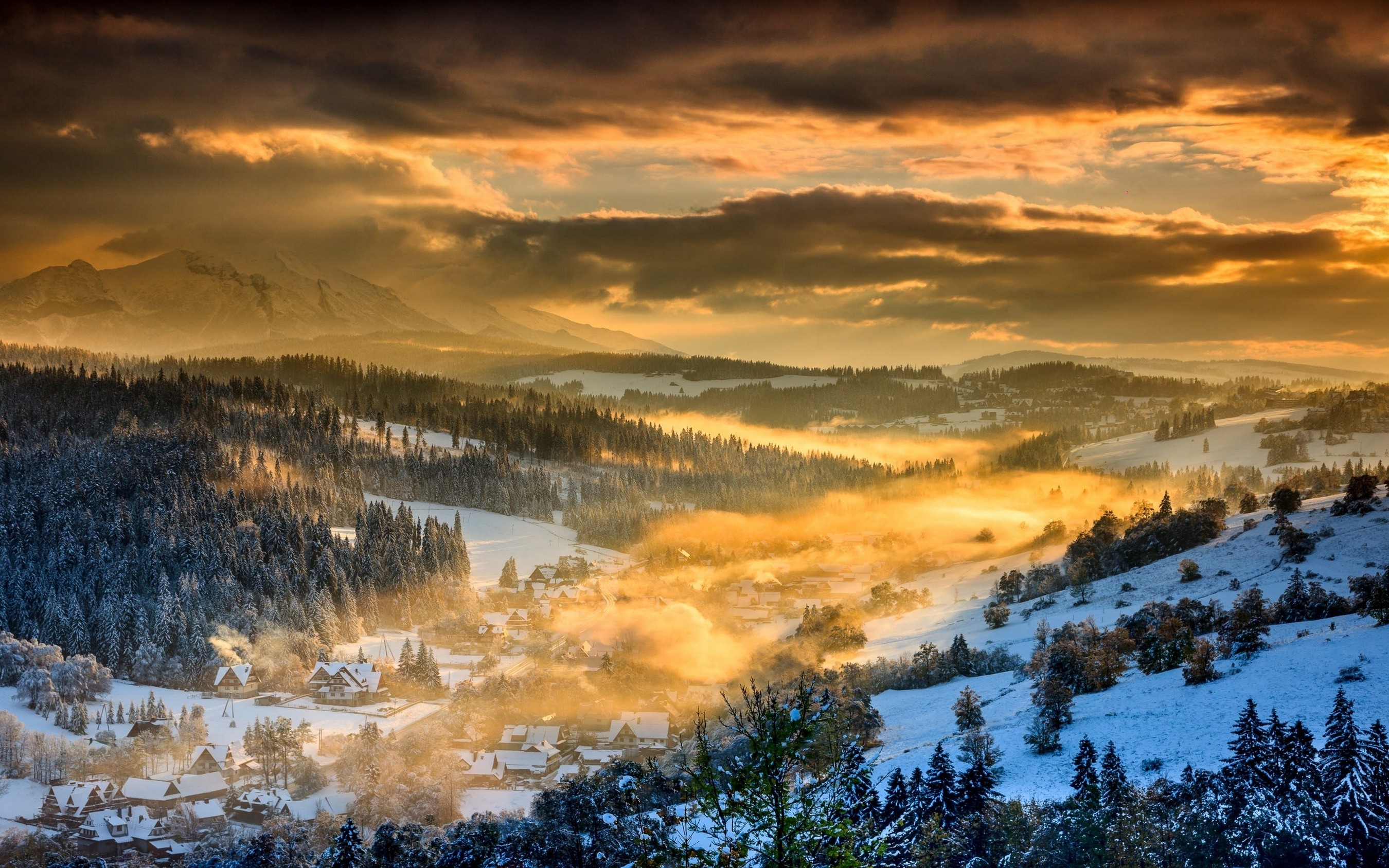 Winter Cloudy Forest Mountains Wallpapers