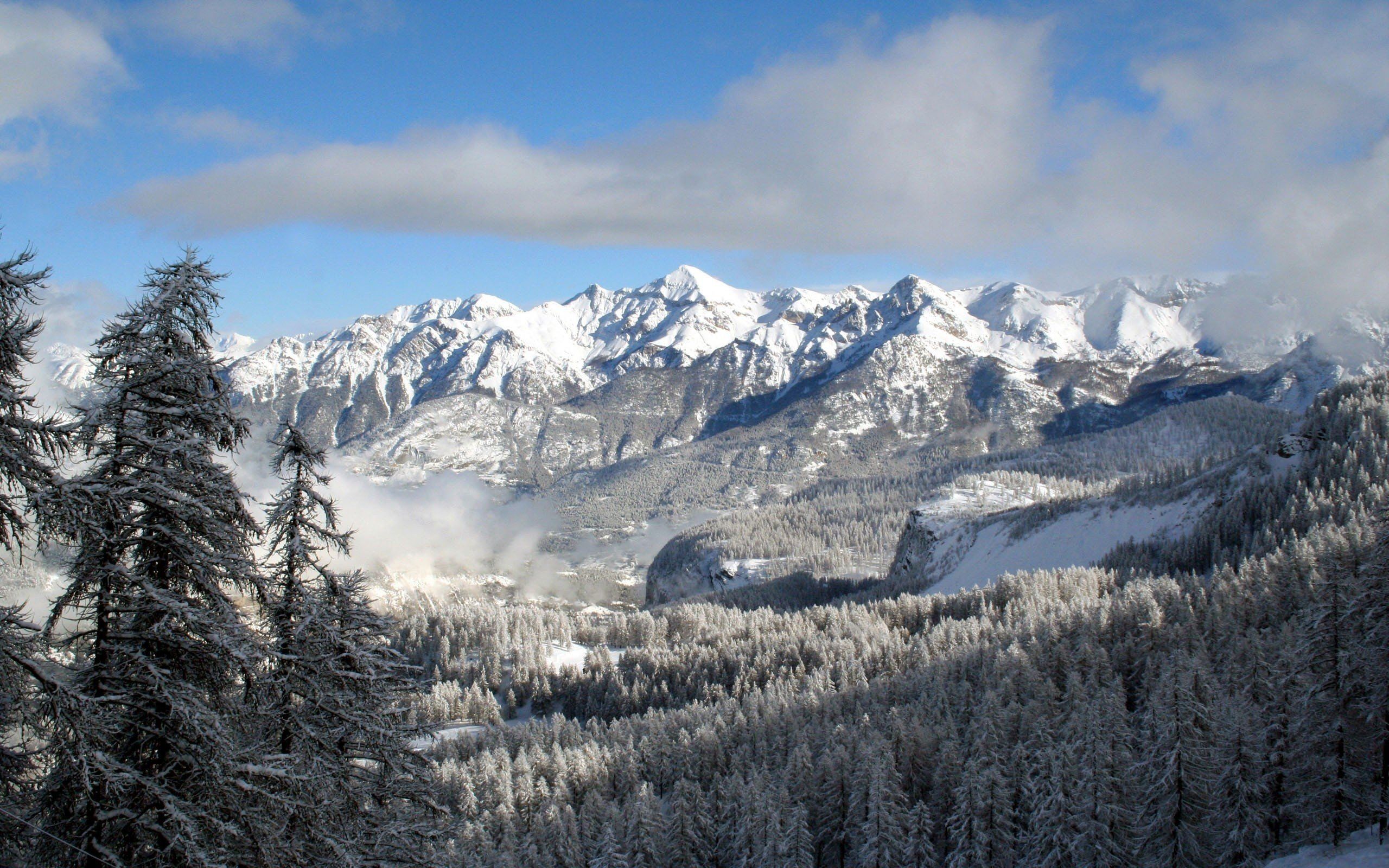 Winter Cloudy Forest Mountains Wallpapers