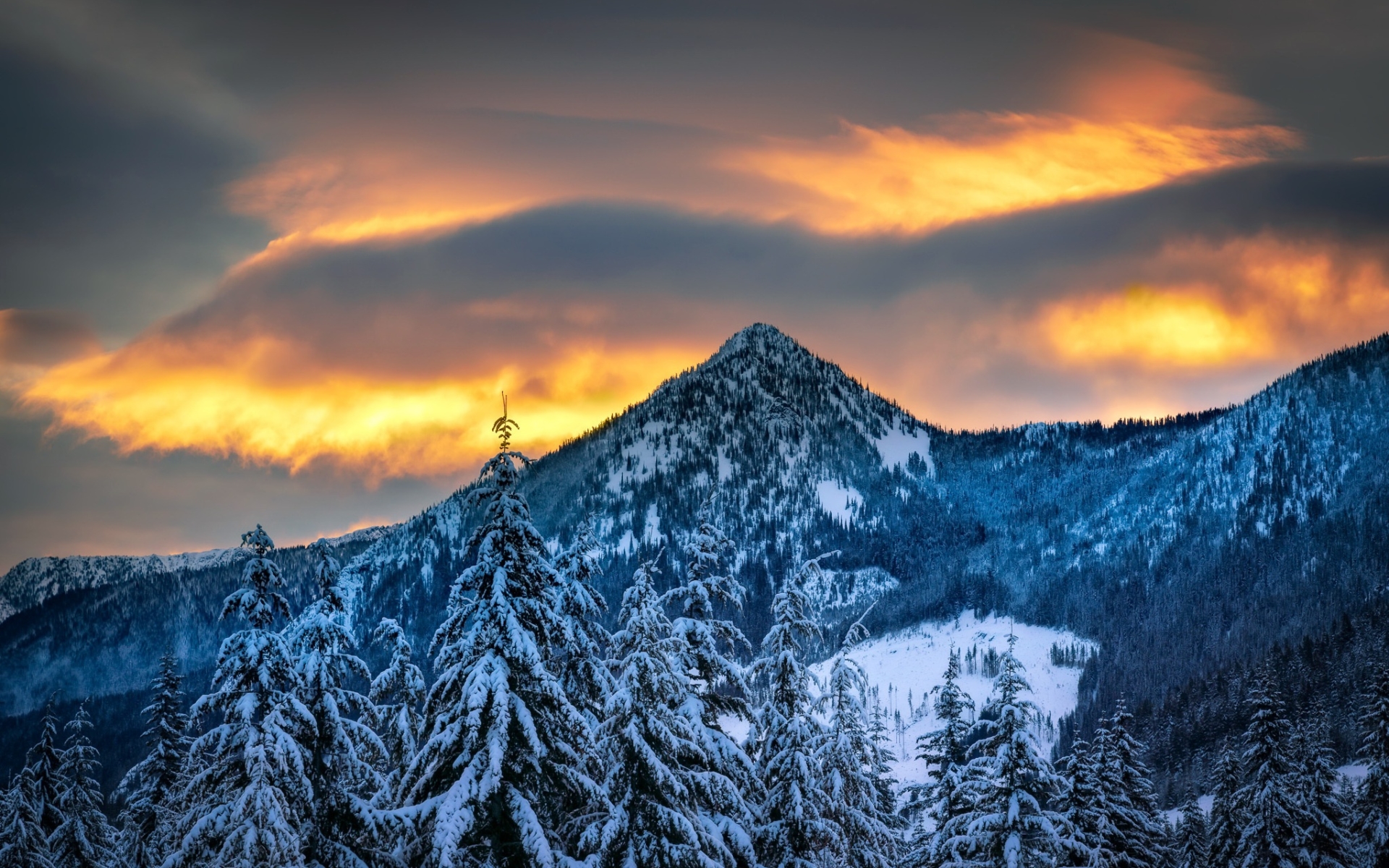 Winter Cloudy Forest Mountains Wallpapers