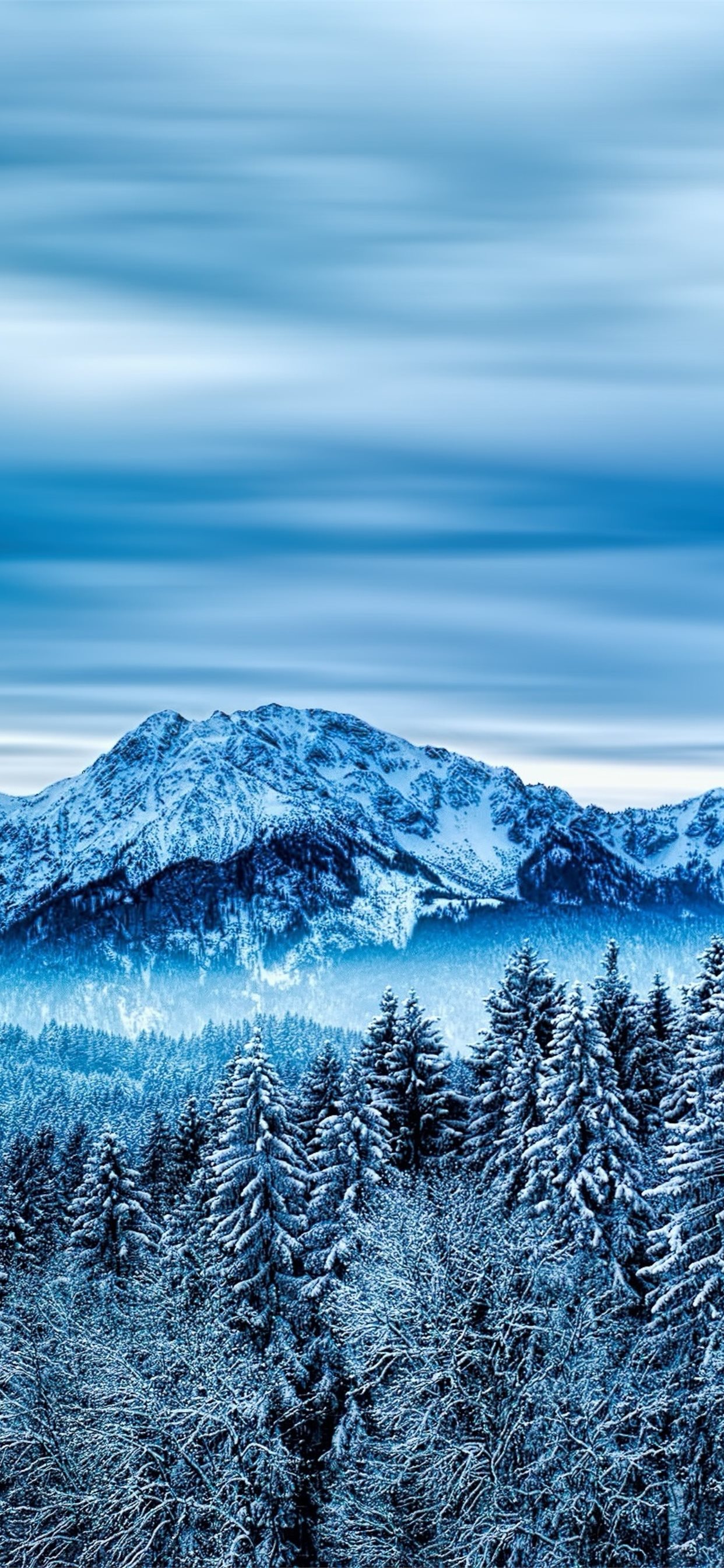 Winter Cloudy Forest Mountains Wallpapers