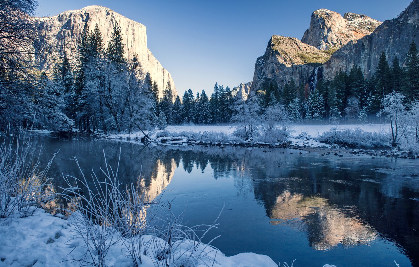 Winter Forest Landscape Nature Snow Wallpapers