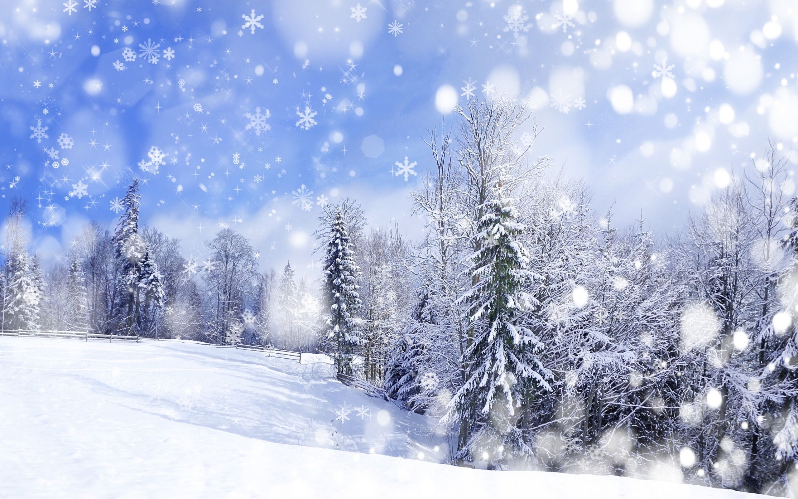 Winter Forest Landscape Nature Snow Wallpapers