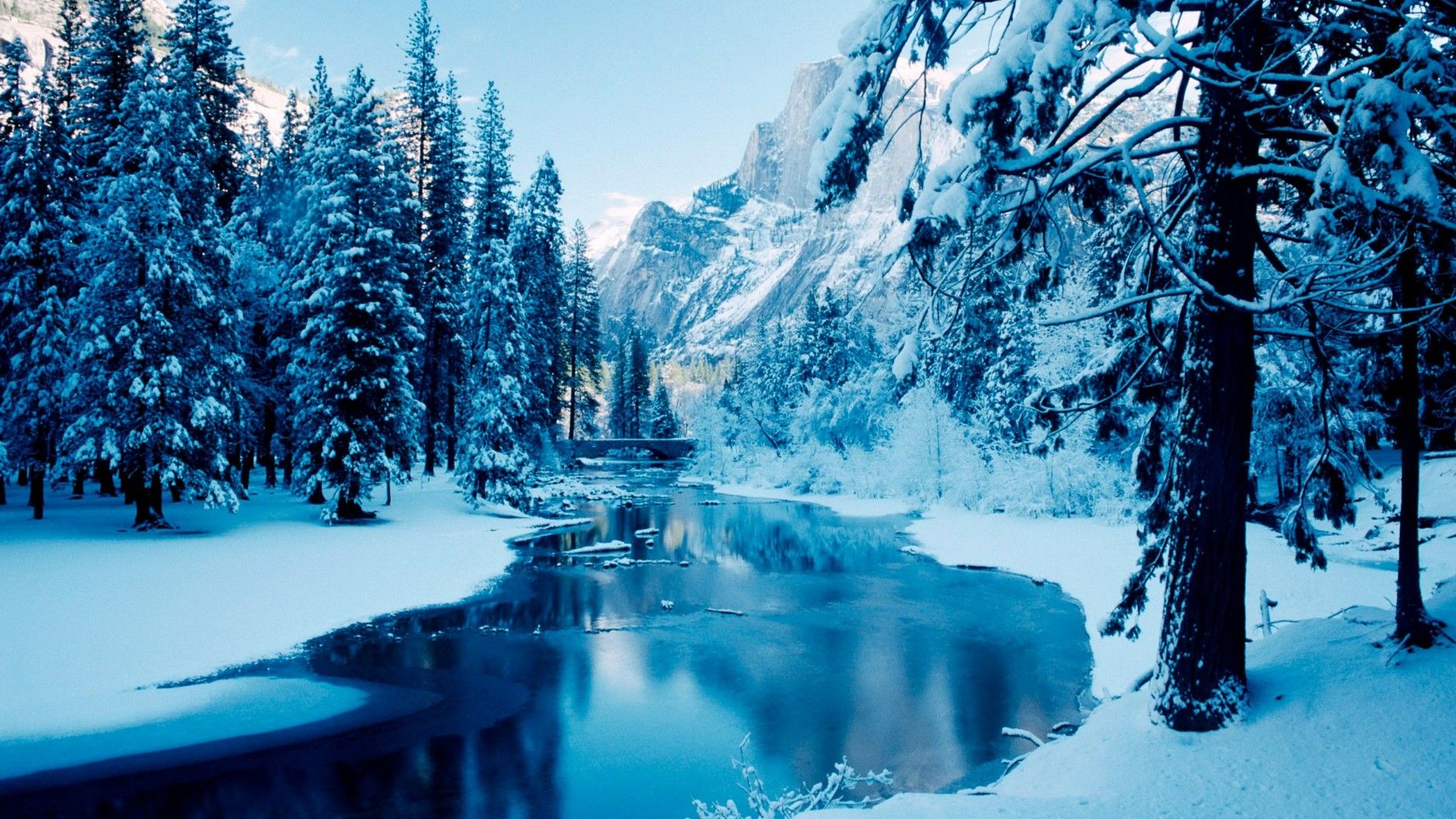 Winter Forest Landscape Nature Snow Wallpapers