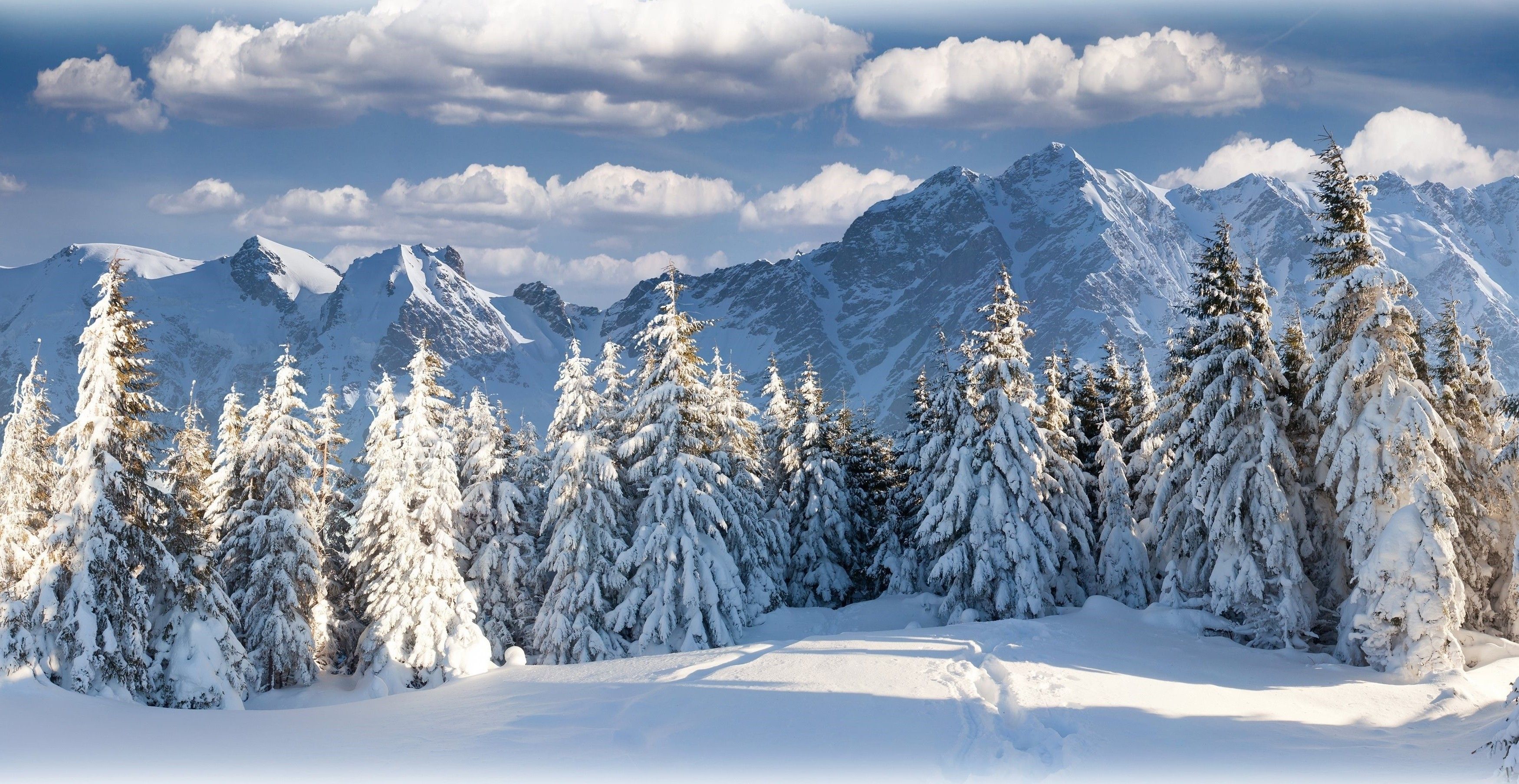 Winter Mountains And Trees Wallpapers