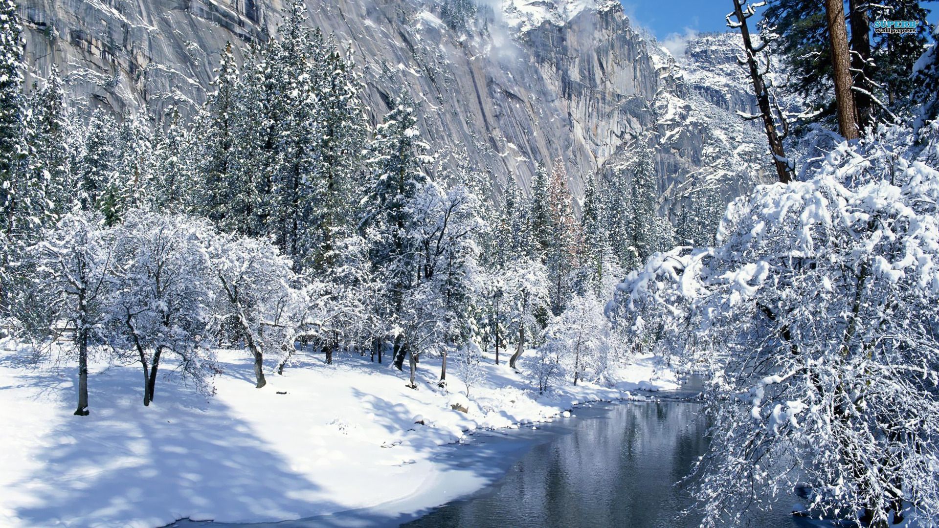 Winter Mountains And Trees Wallpapers