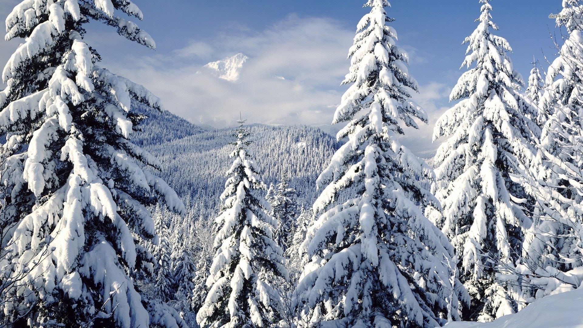 Winter Mountains And Trees Wallpapers