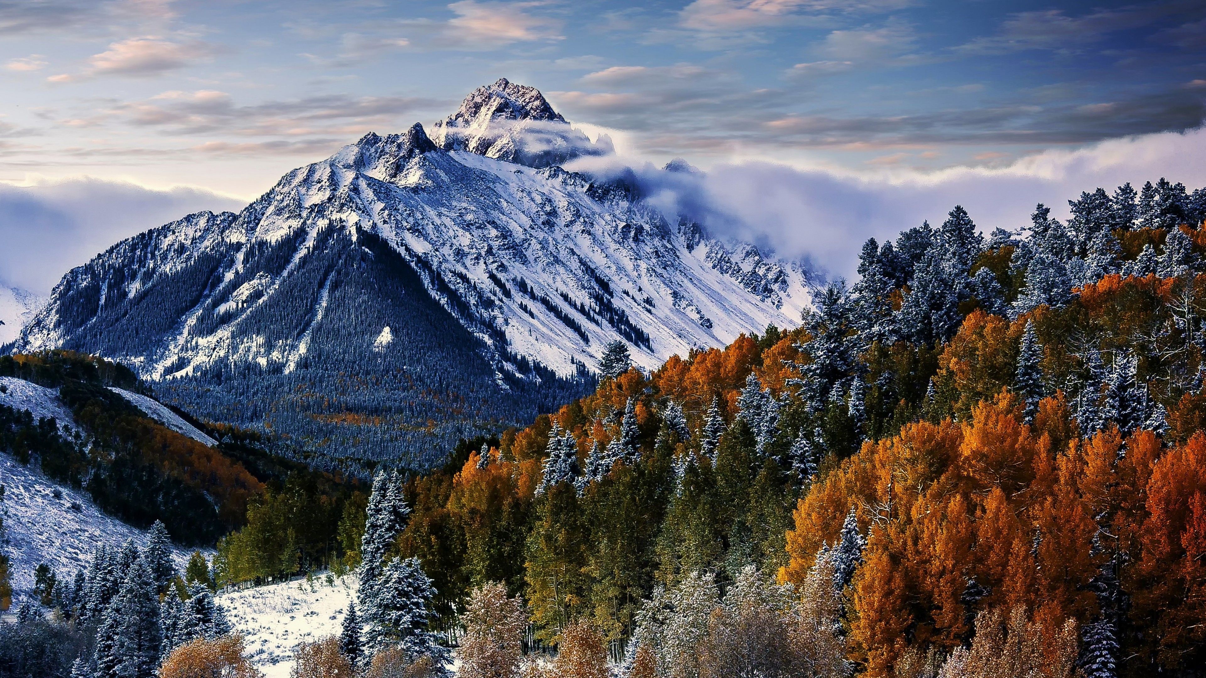 Winter Mountains And Trees Wallpapers