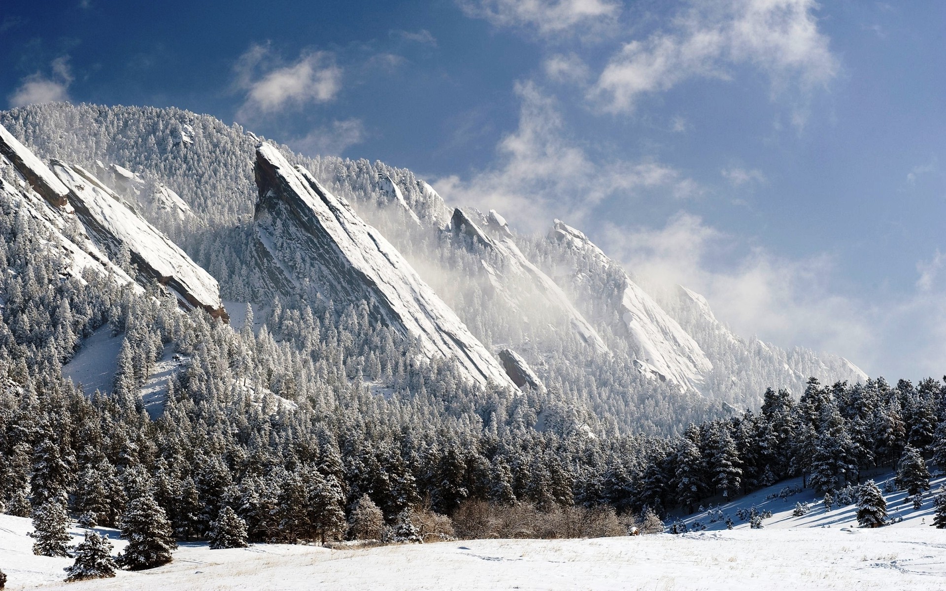 Winter Mountains And Trees Wallpapers