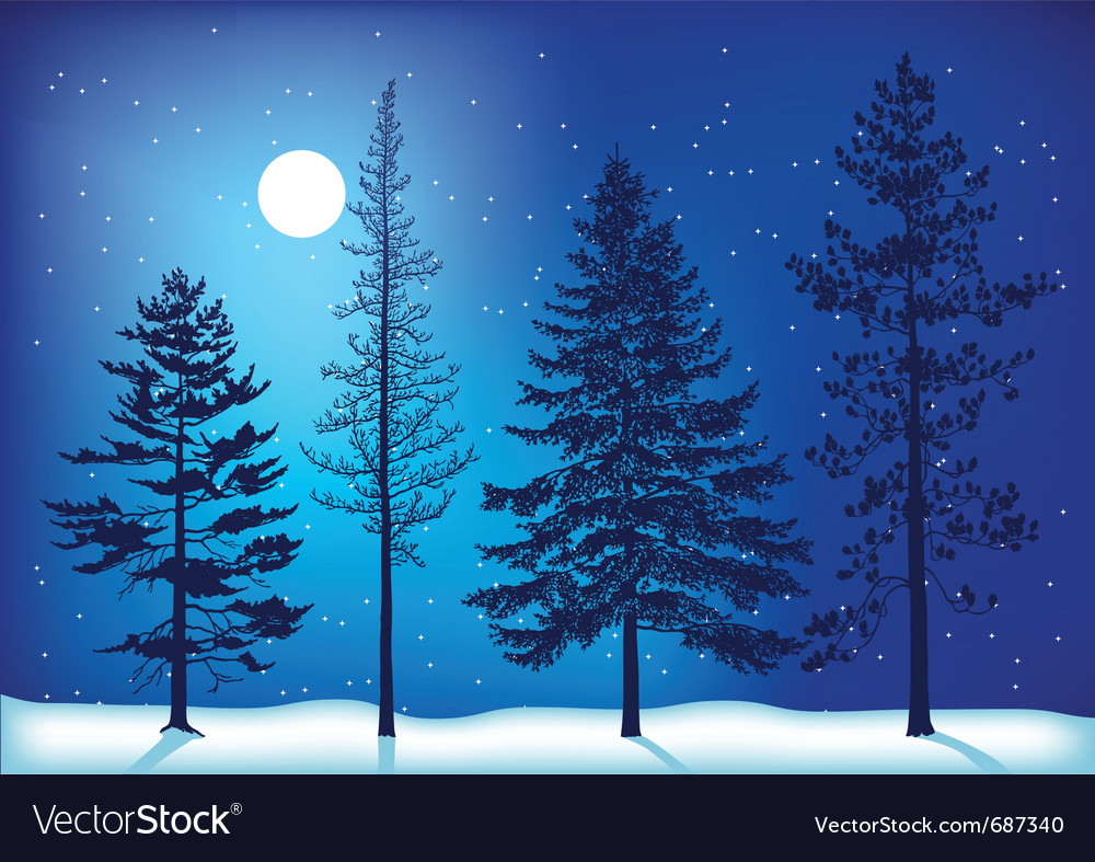 Winter Trees Wallpapers