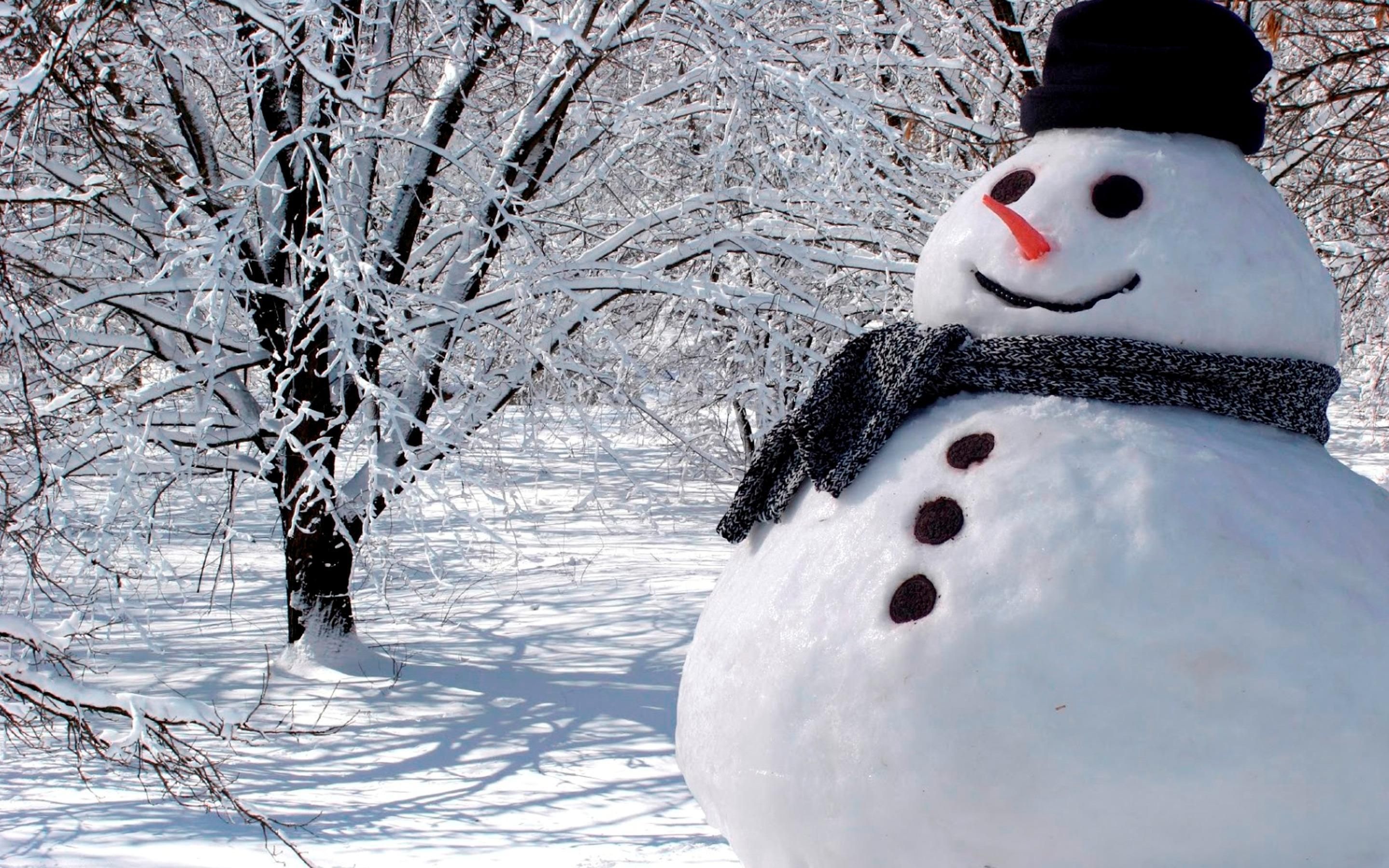 Winter Snowman Background