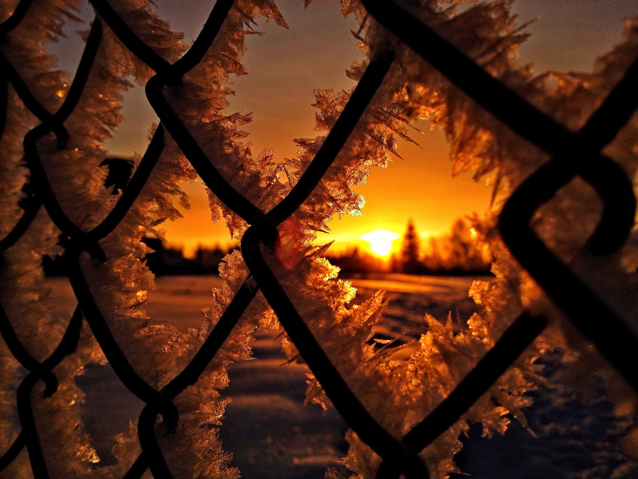 Winter Sunrise Background