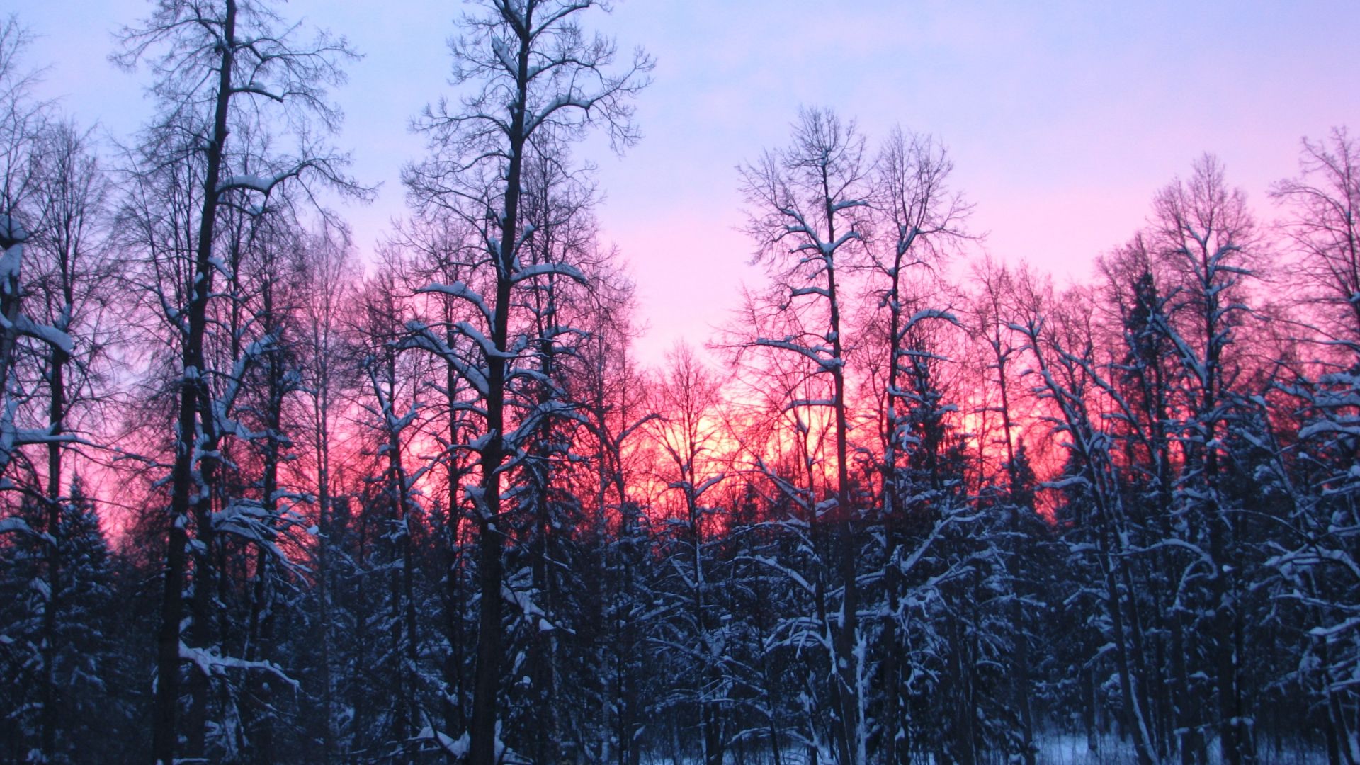 Winter Sunset Desktop Backgrounds