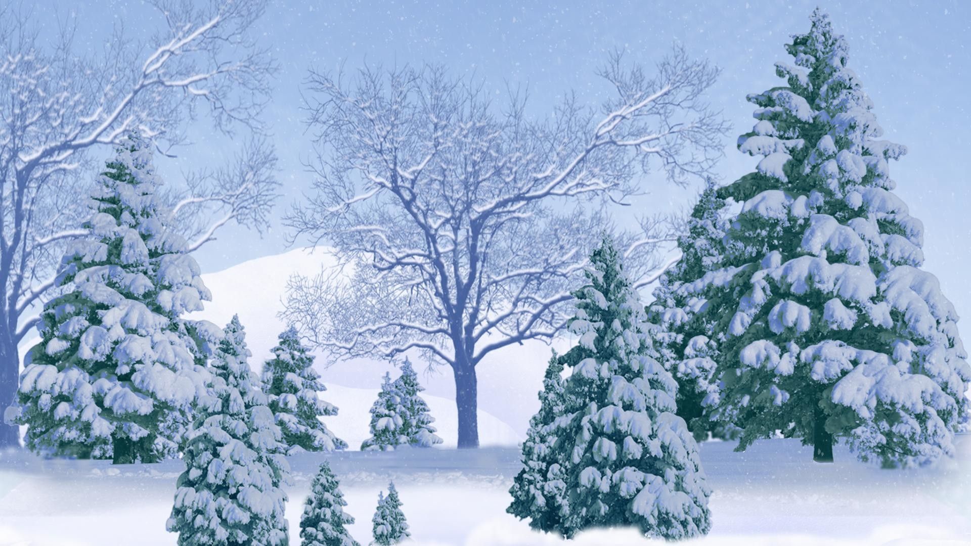 Winter Trees Backgrounds