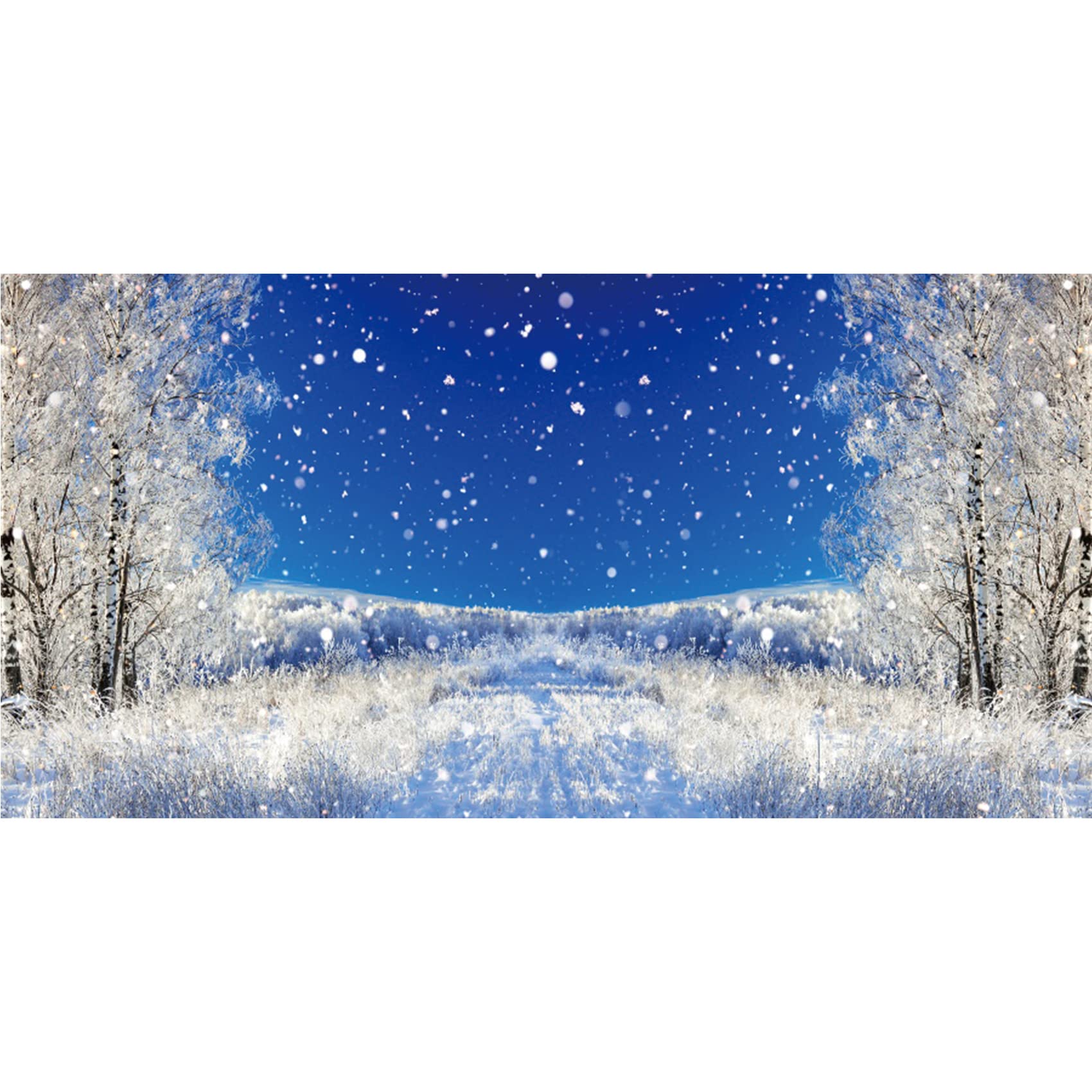 Winter Trees Backgrounds