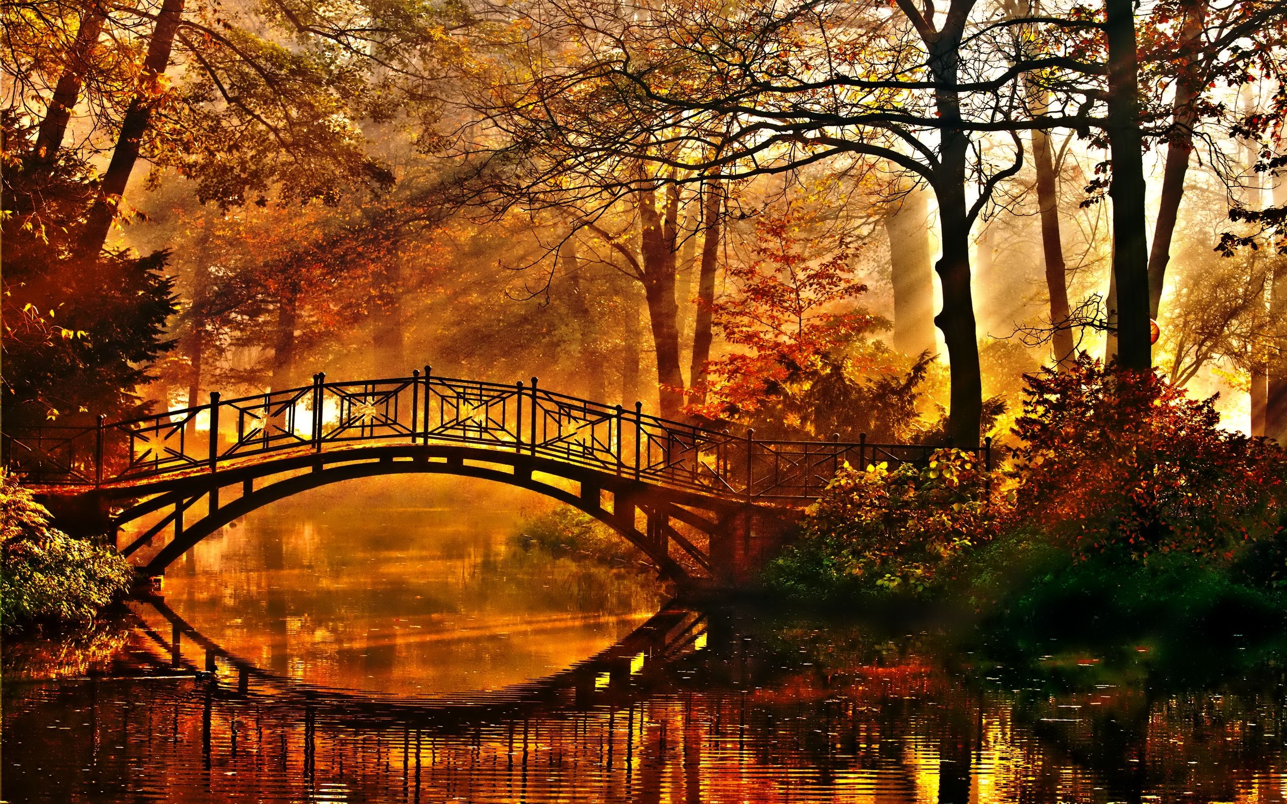 Wood Bridge Forest In Fall Wallpapers