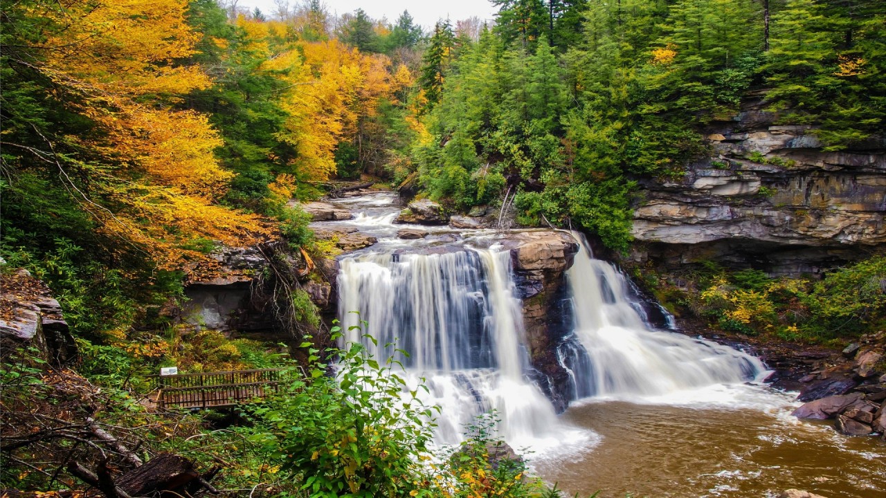 Wood Bridge Forest In Fall Wallpapers