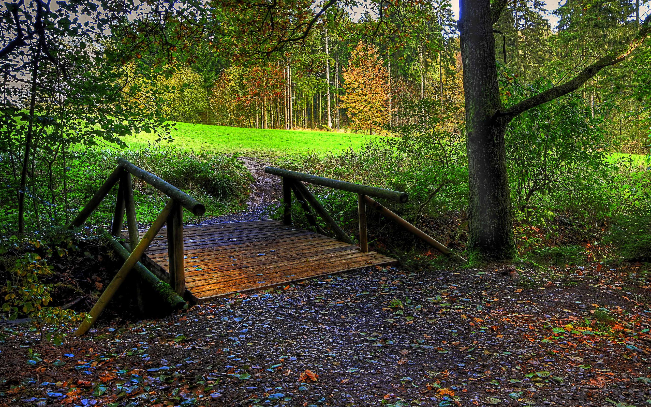 Wood Bridge Forest In Fall Wallpapers