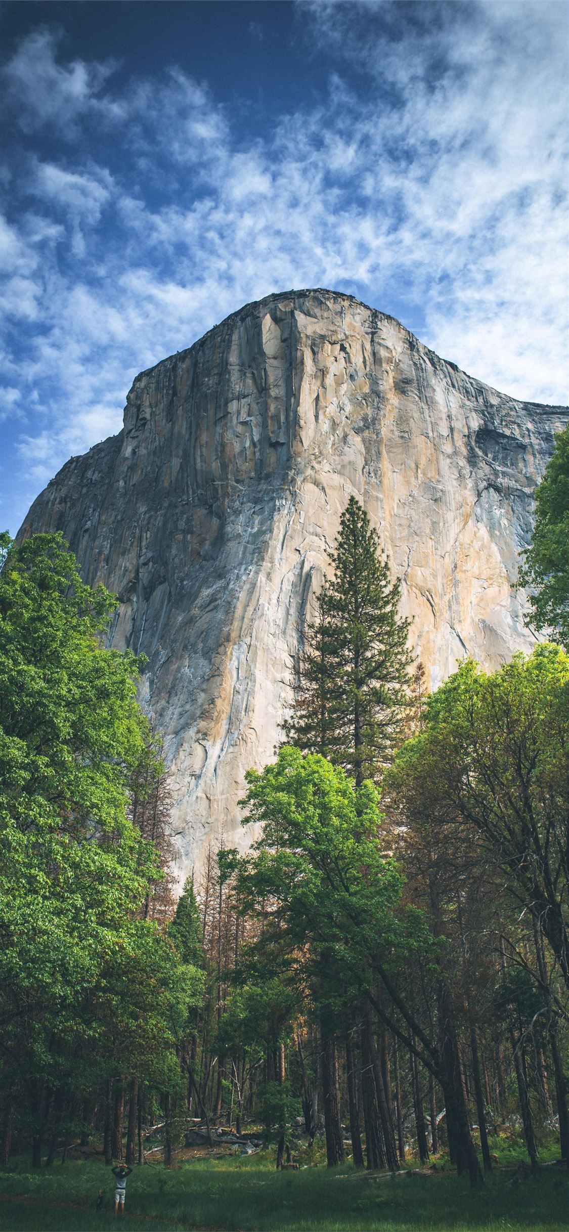 Yosemite National Park 4K Wallpapers
