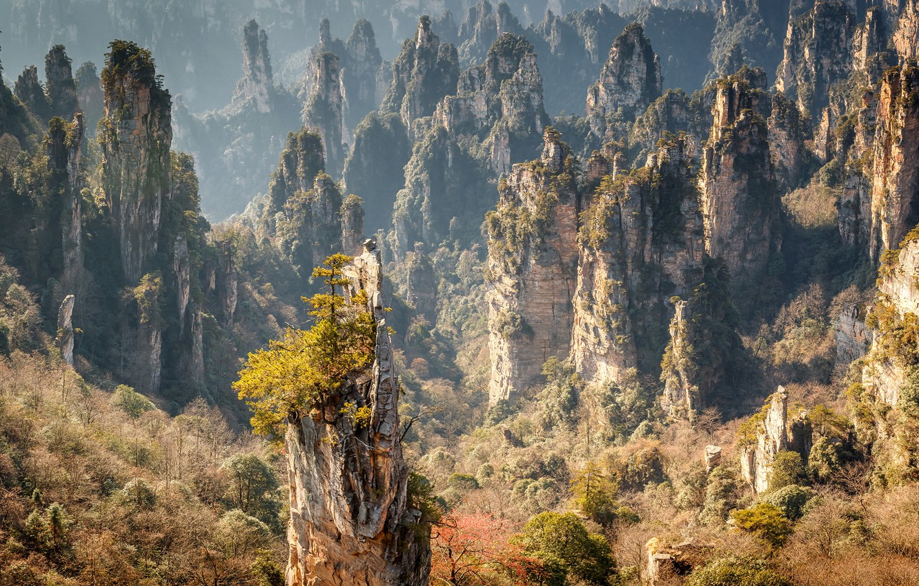 Zhangjiajie National Forest Park Wallpapers