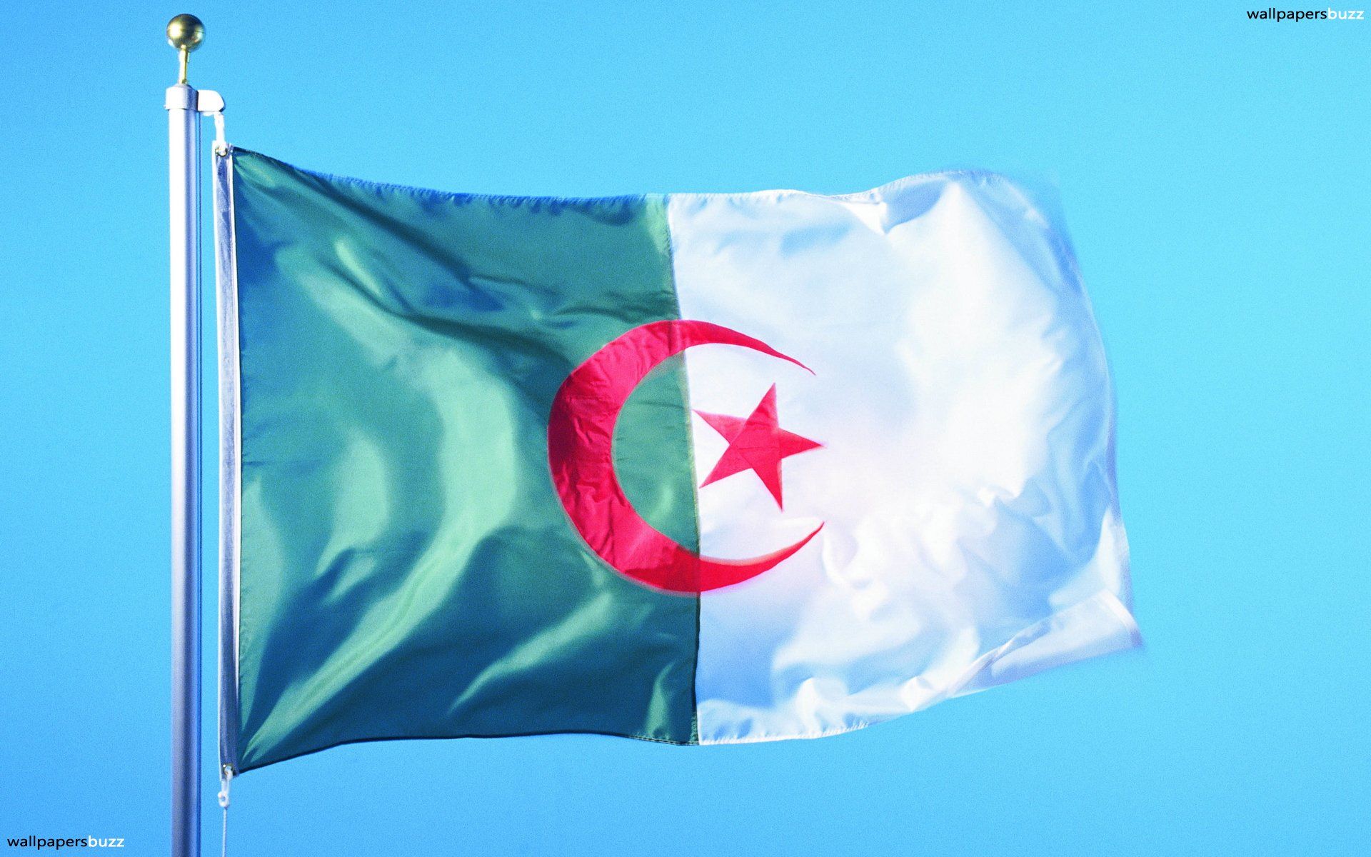 Algeria Flag Wallpapers