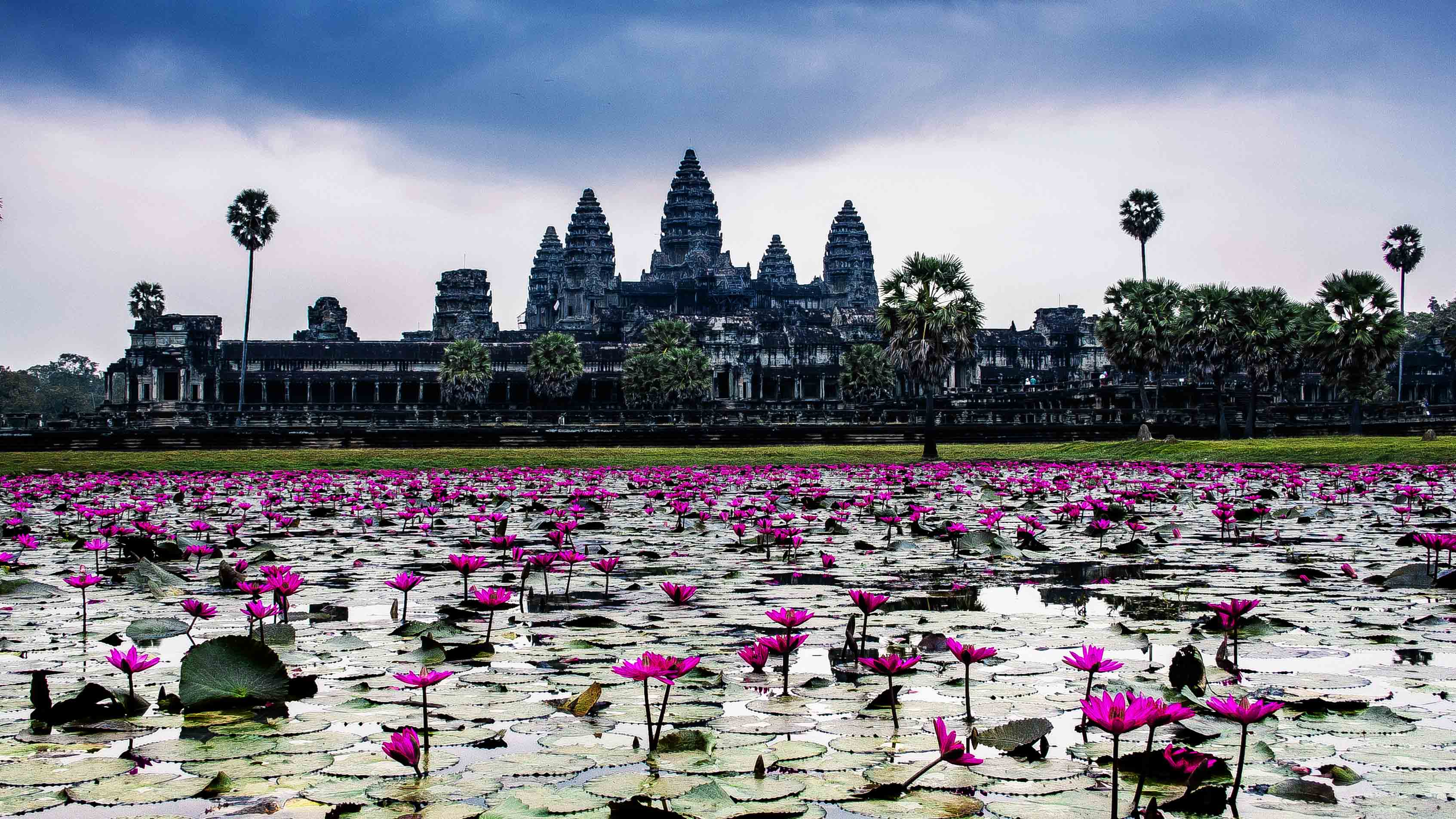 Angkor Wat Wallpapers