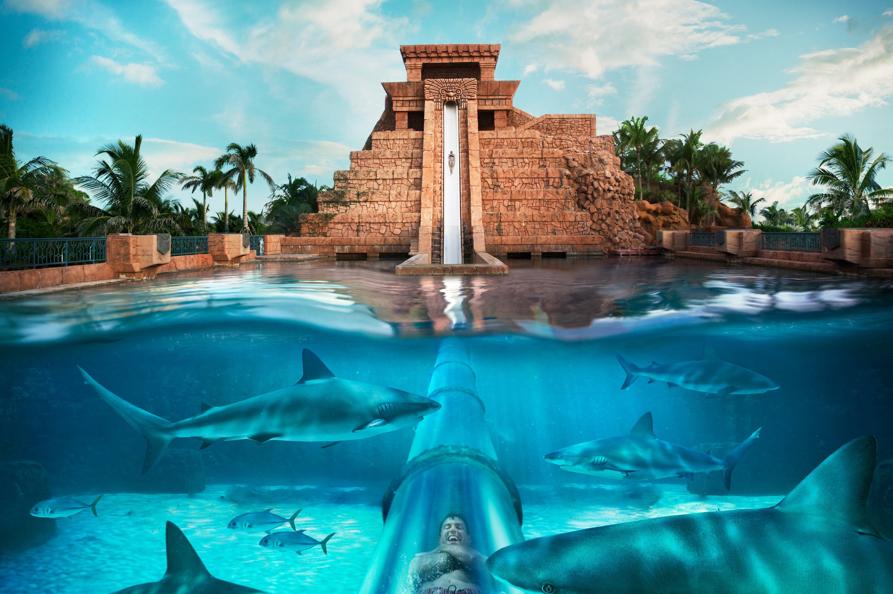 Atlantis Paradise Island Wallpapers