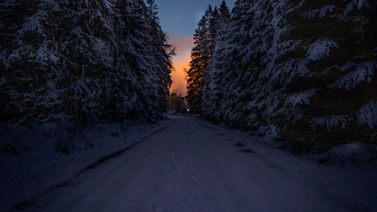 Austria Snow Forest Tree Road Wallpapers