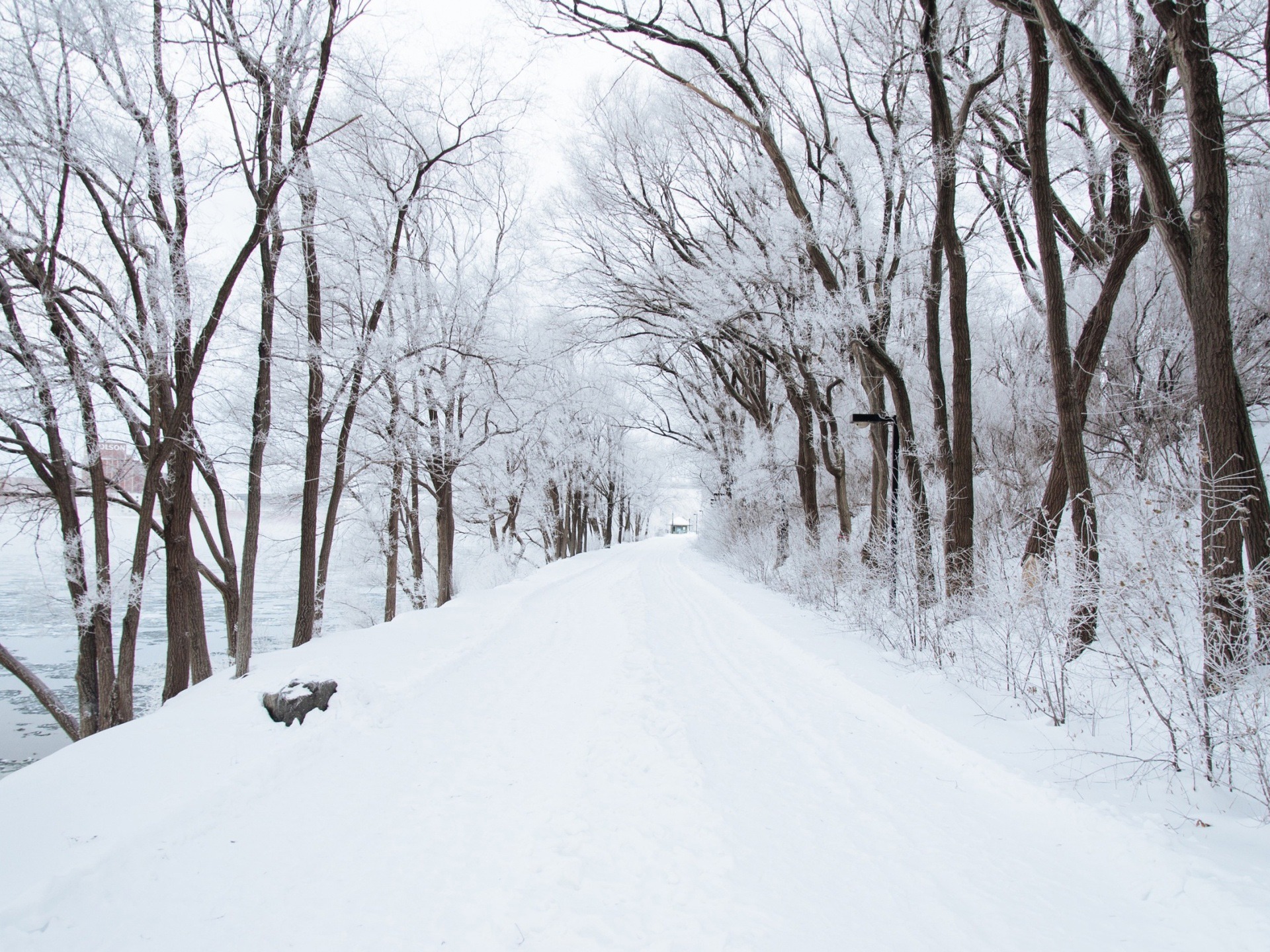 Austria Snow Forest Tree Road Wallpapers