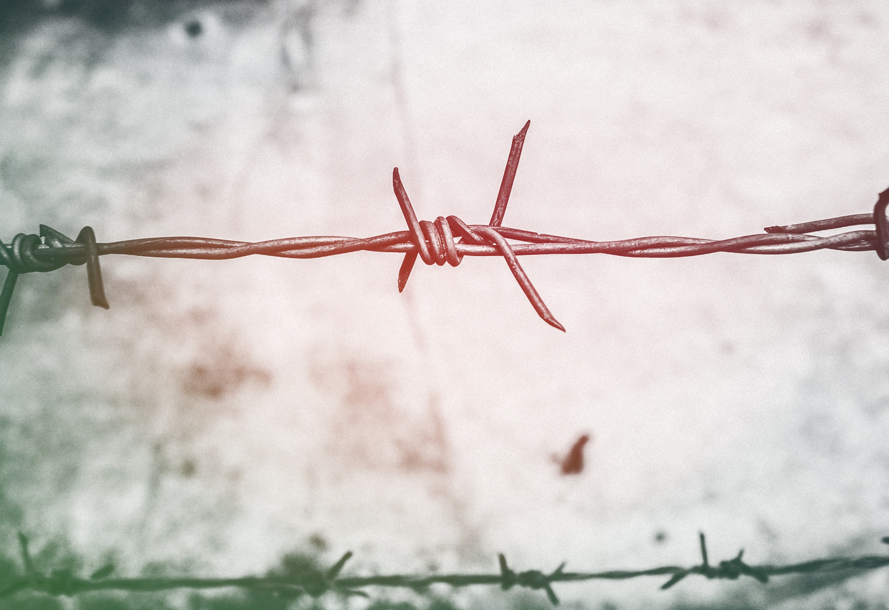 Barb Wire Wallpapers