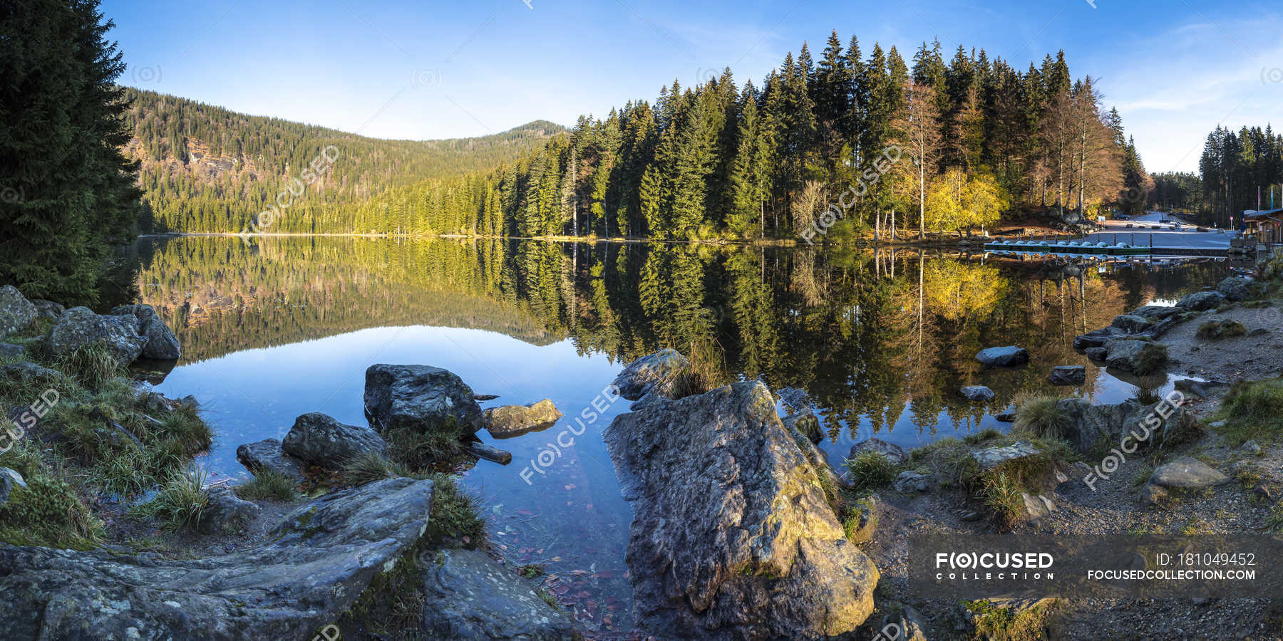 Bavarian Forest National Park Wallpapers