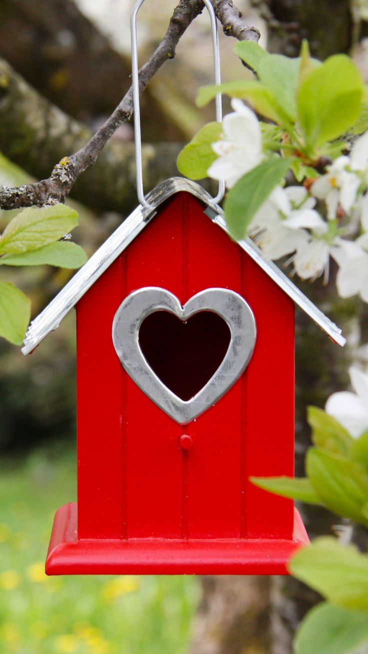 Bird House Wallpapers