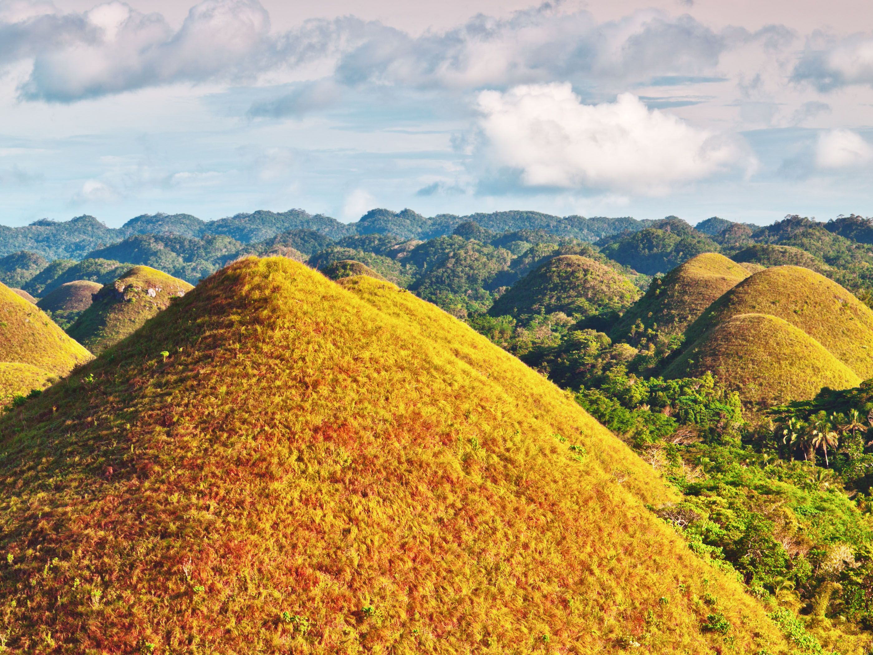 Bohol Wallpapers