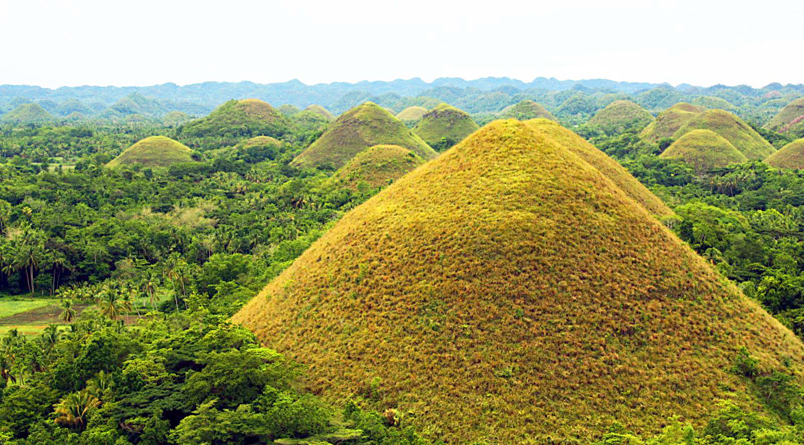 Bohol Wallpapers