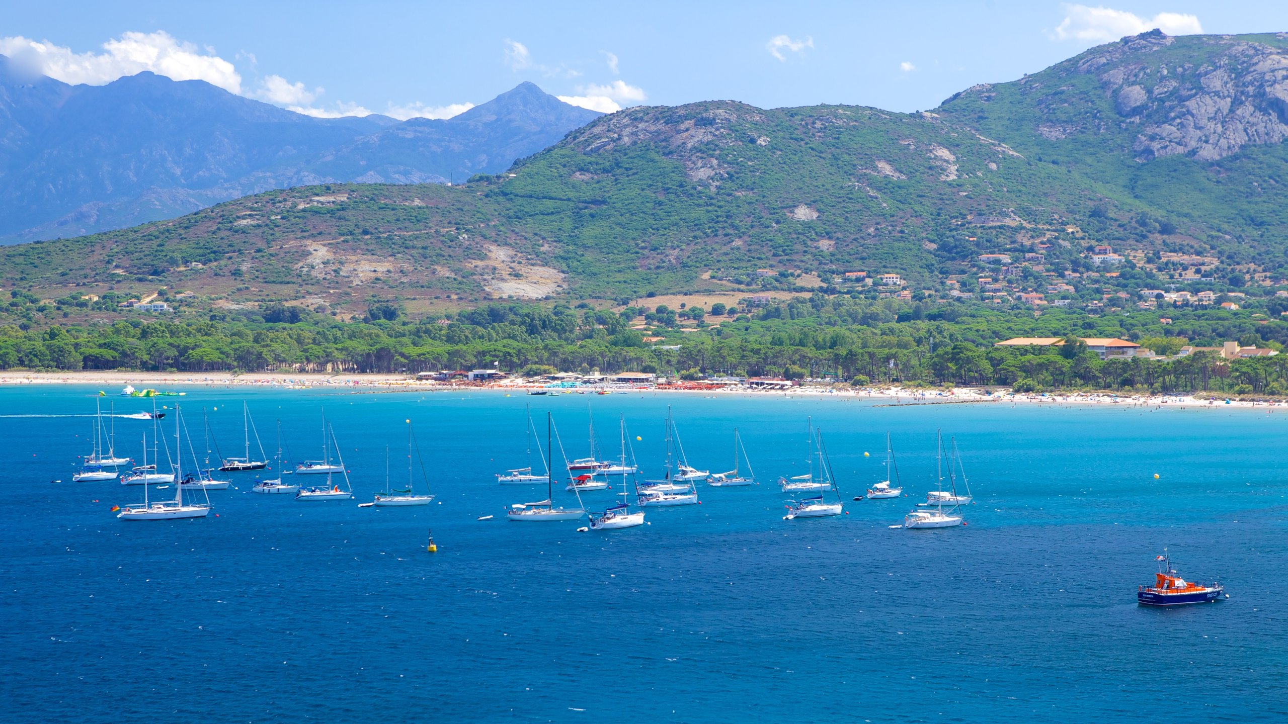 Calvi, Haute-Corse Wallpapers