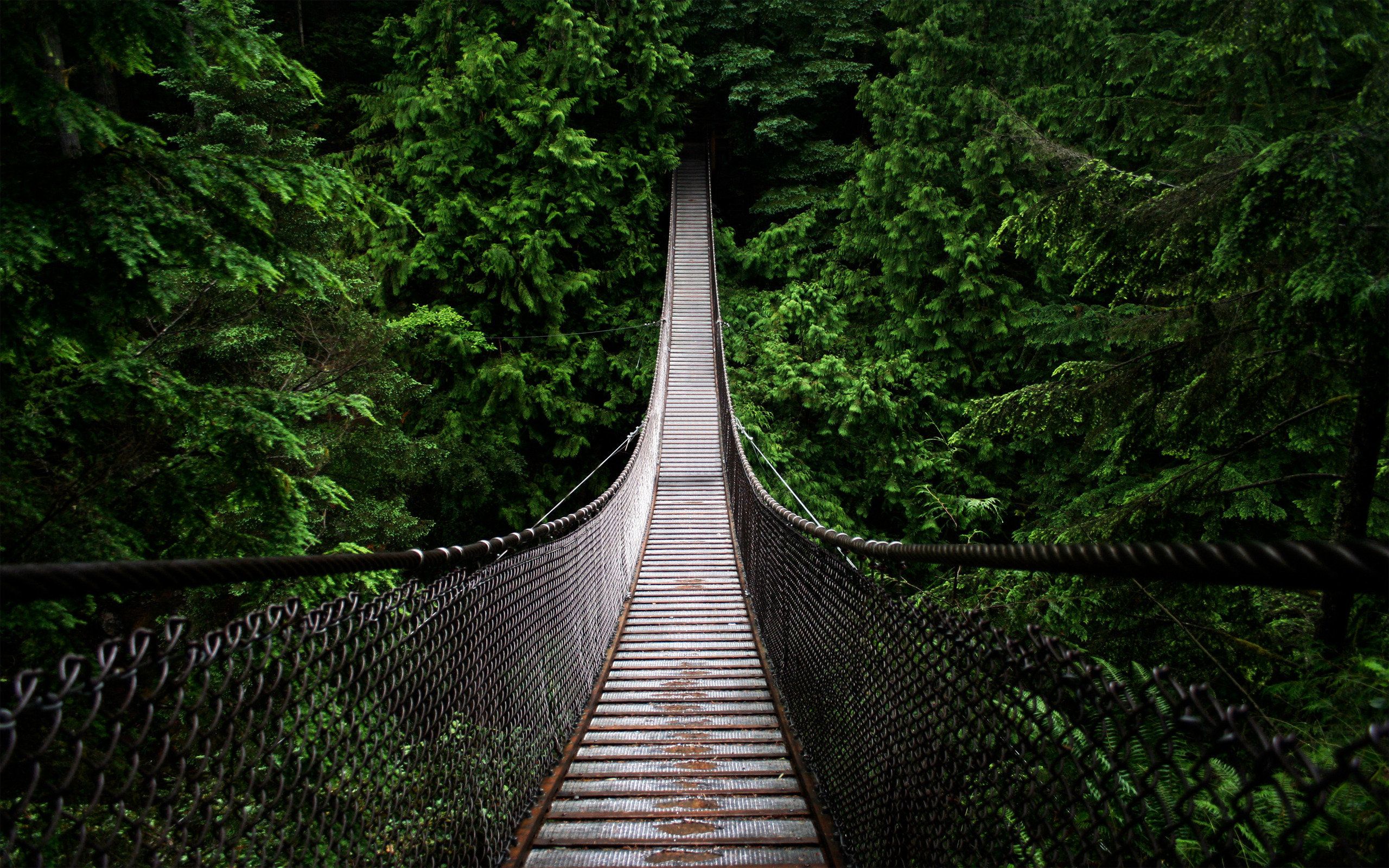 Capilano Suspension Bridge Wallpapers