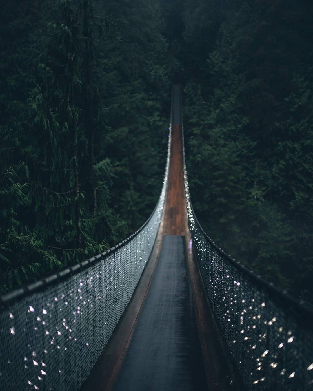 Capilano Suspension Bridge Wallpapers