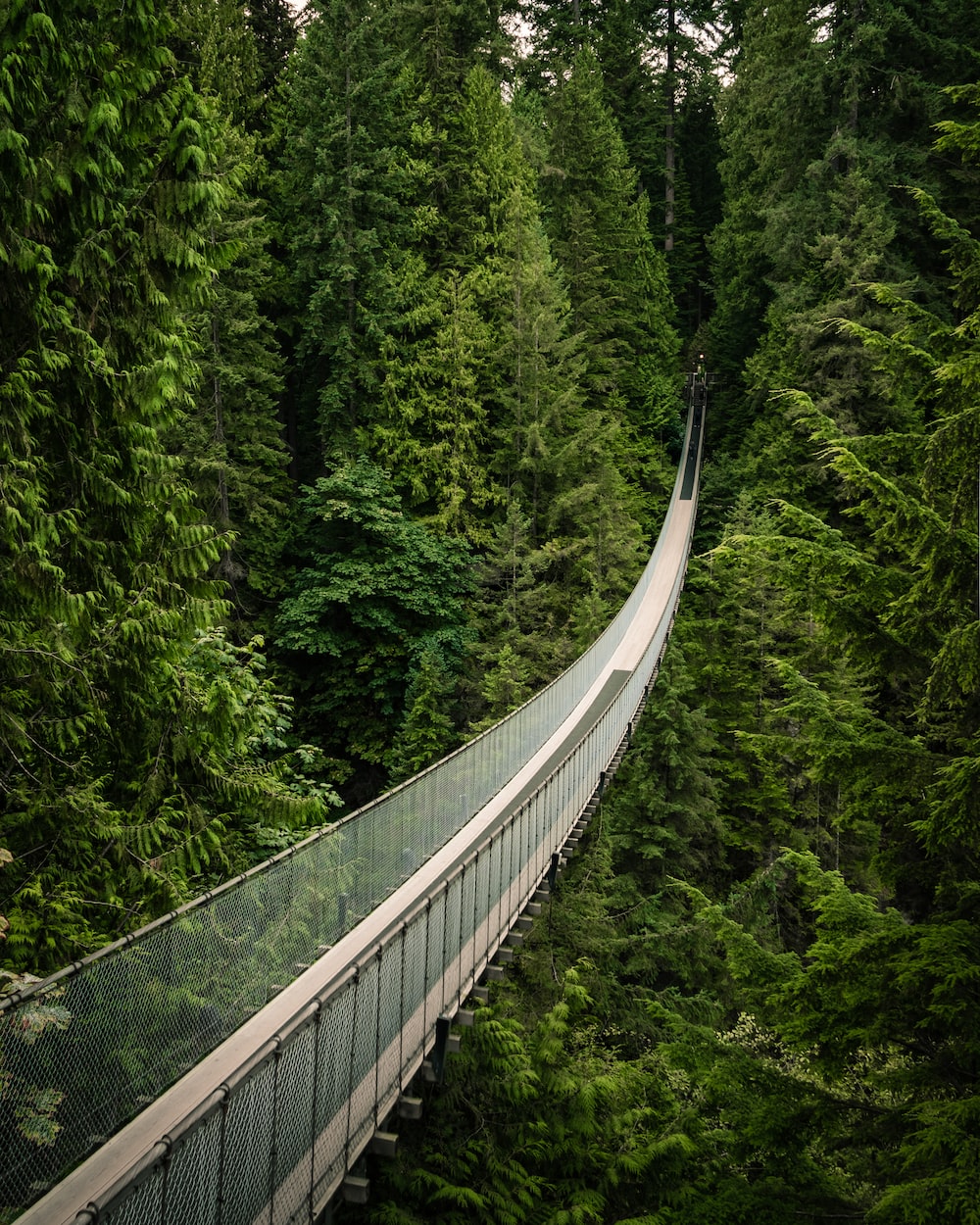 Capilano Suspension Bridge Wallpapers