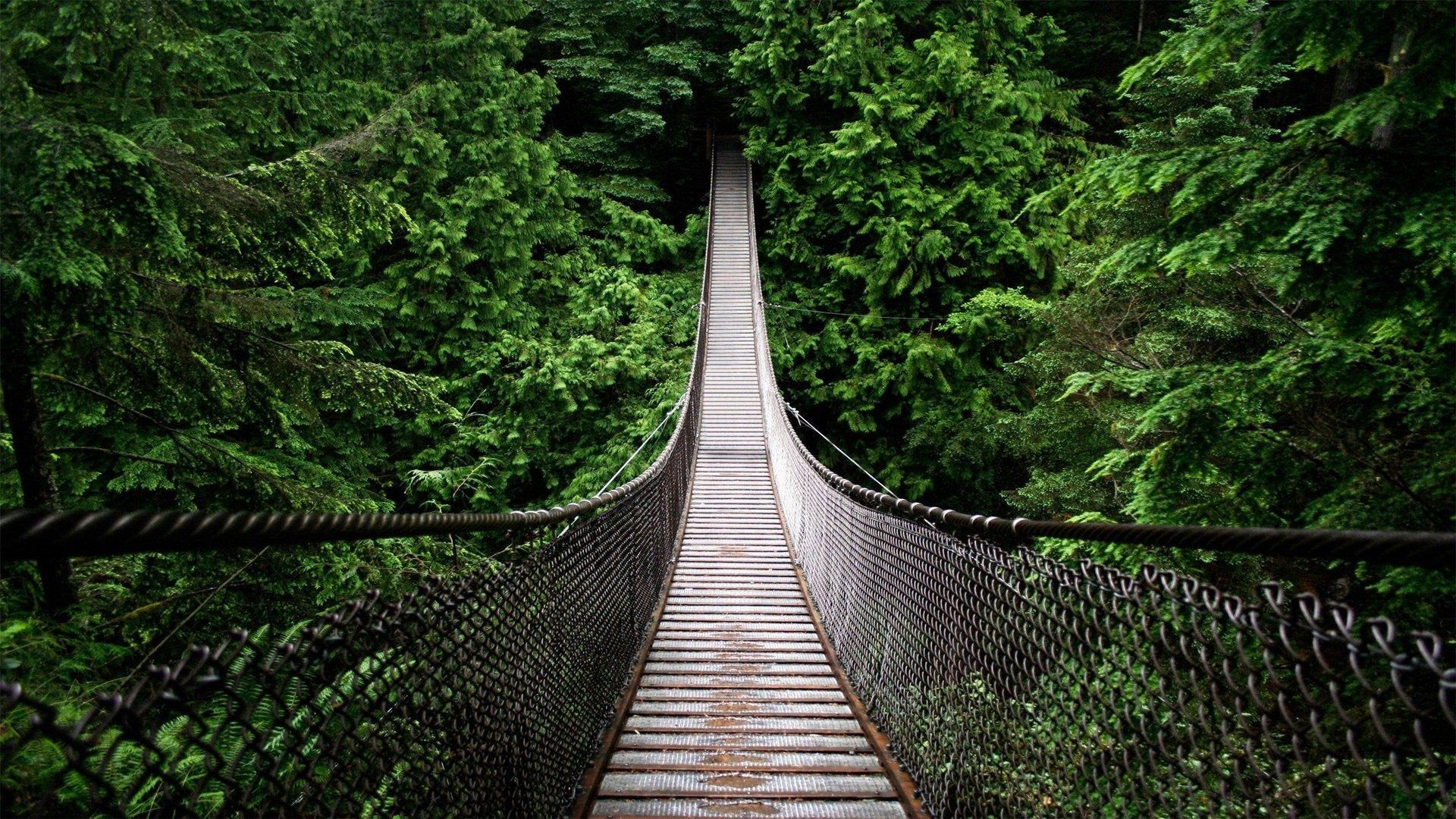 Capilano Suspension Bridge Wallpapers