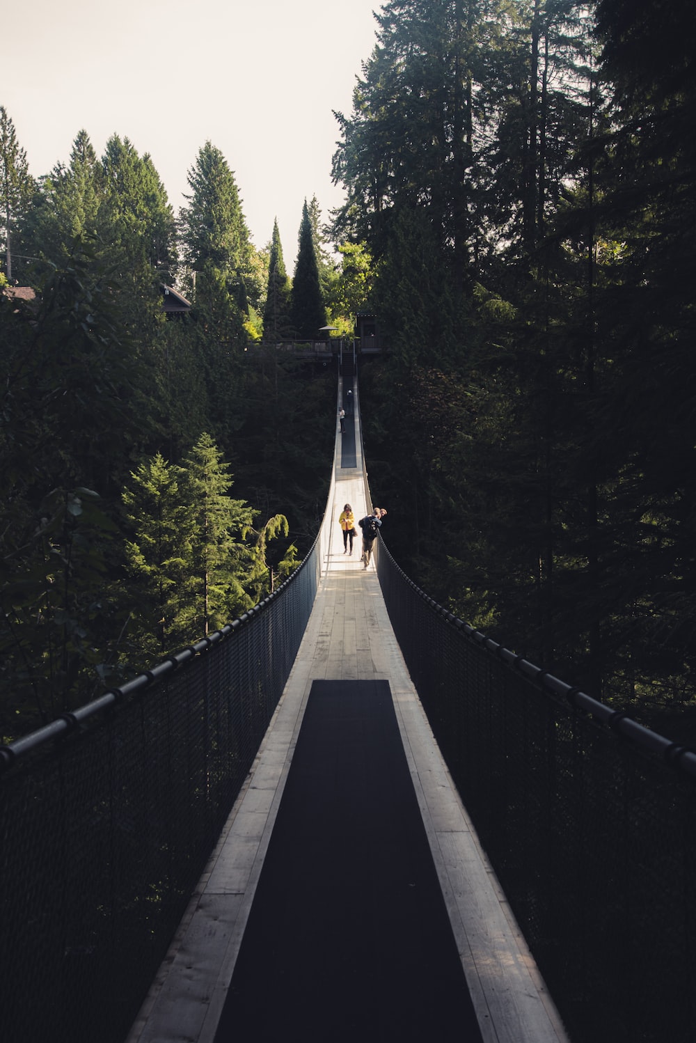 Capilano Suspension Bridge Wallpapers