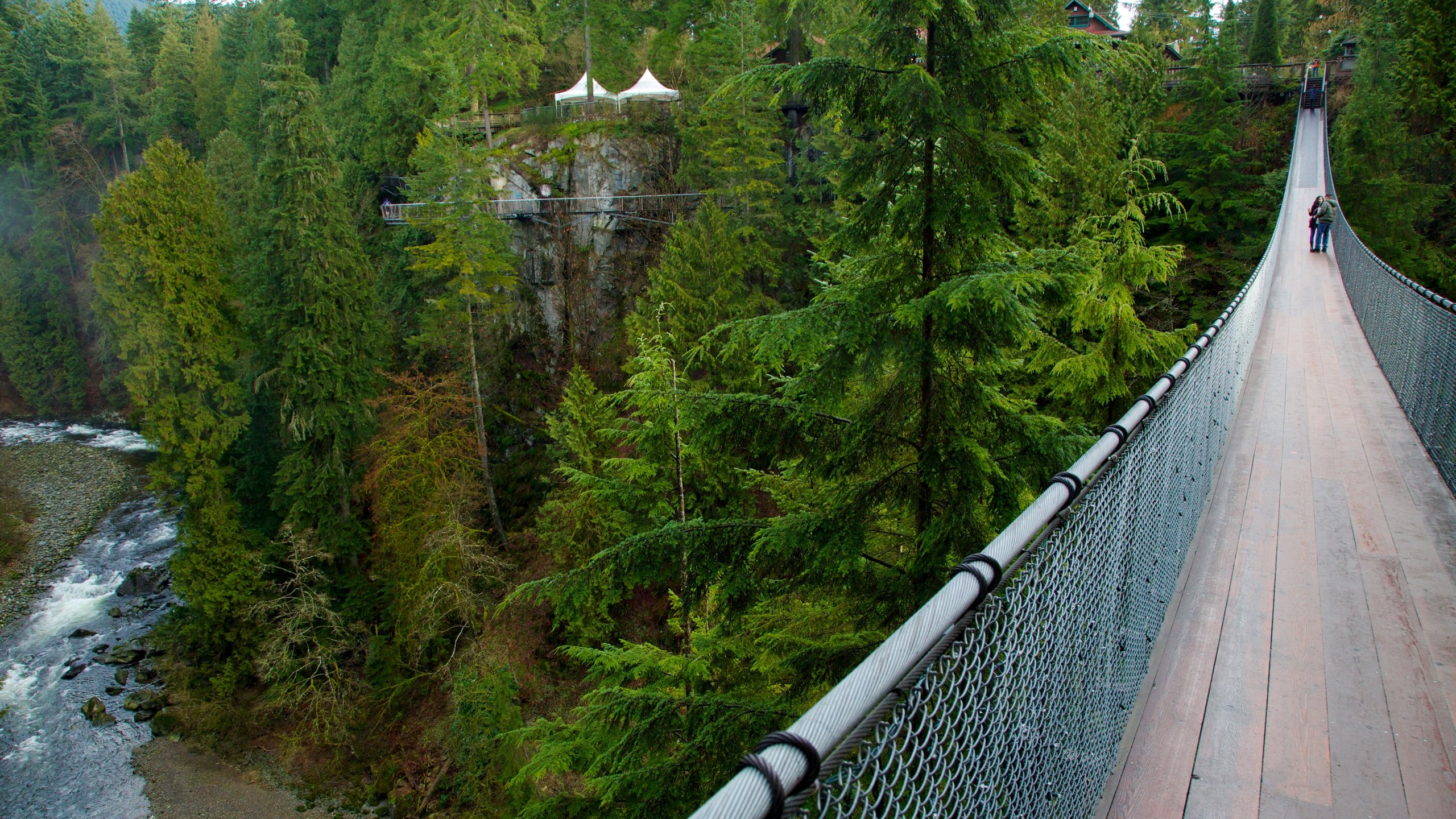 Capilano Suspension Bridge Wallpapers