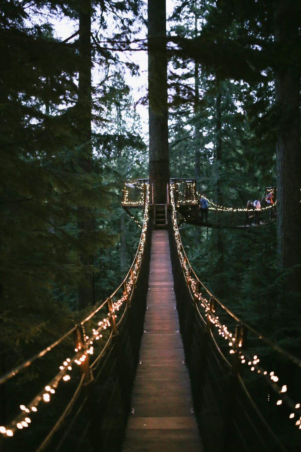 Capilano Suspension Bridge Wallpapers