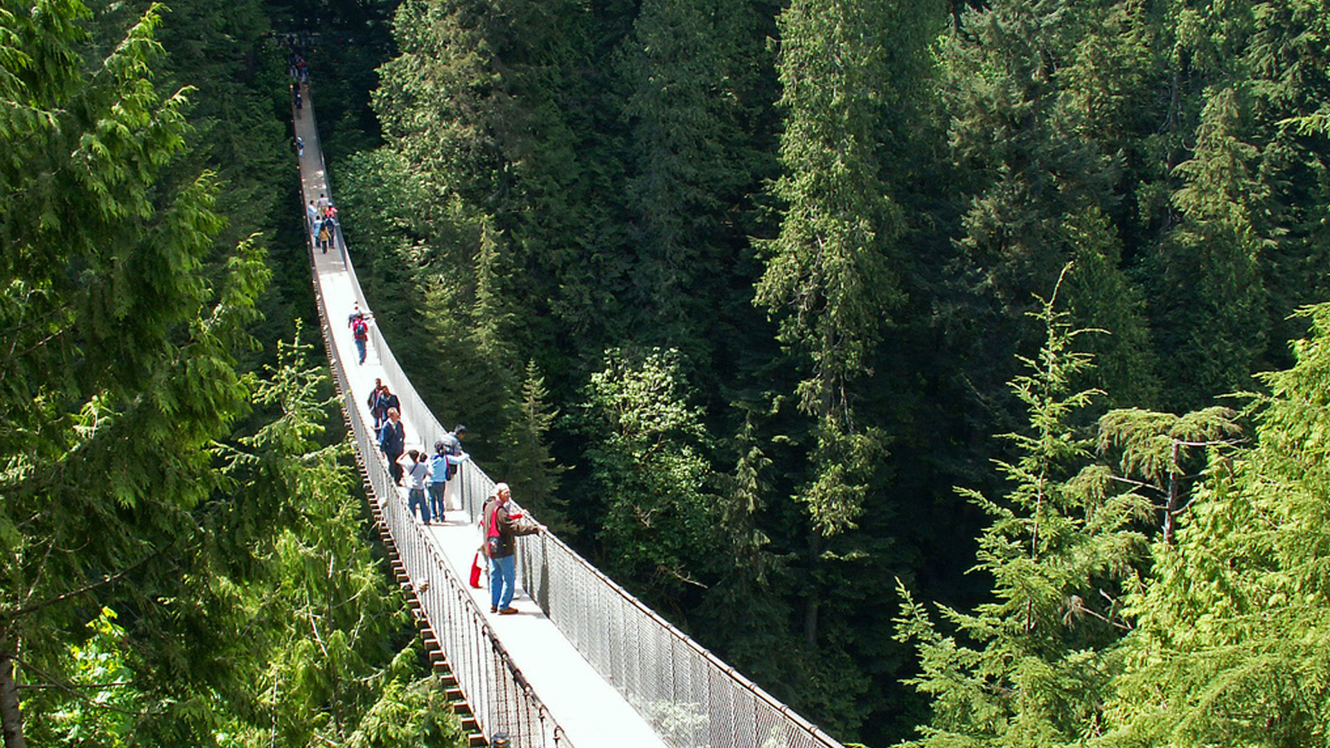 Capilano Suspension Bridge Wallpapers